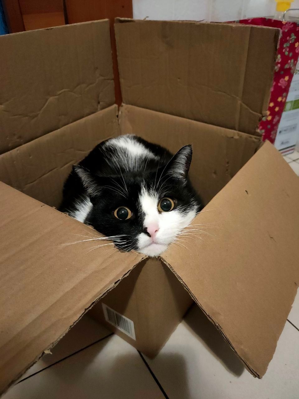 image-11