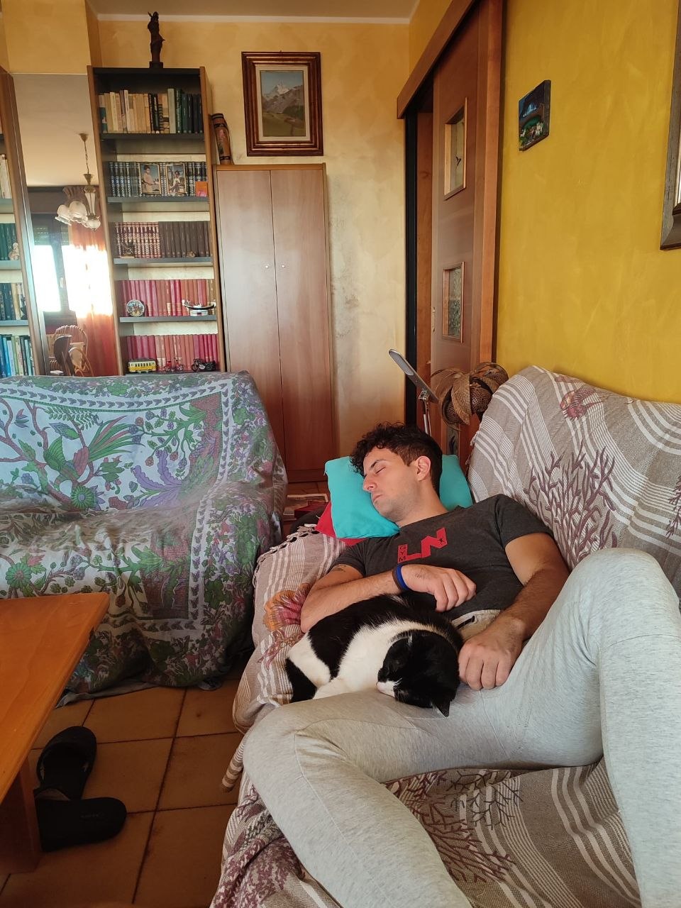 image-6