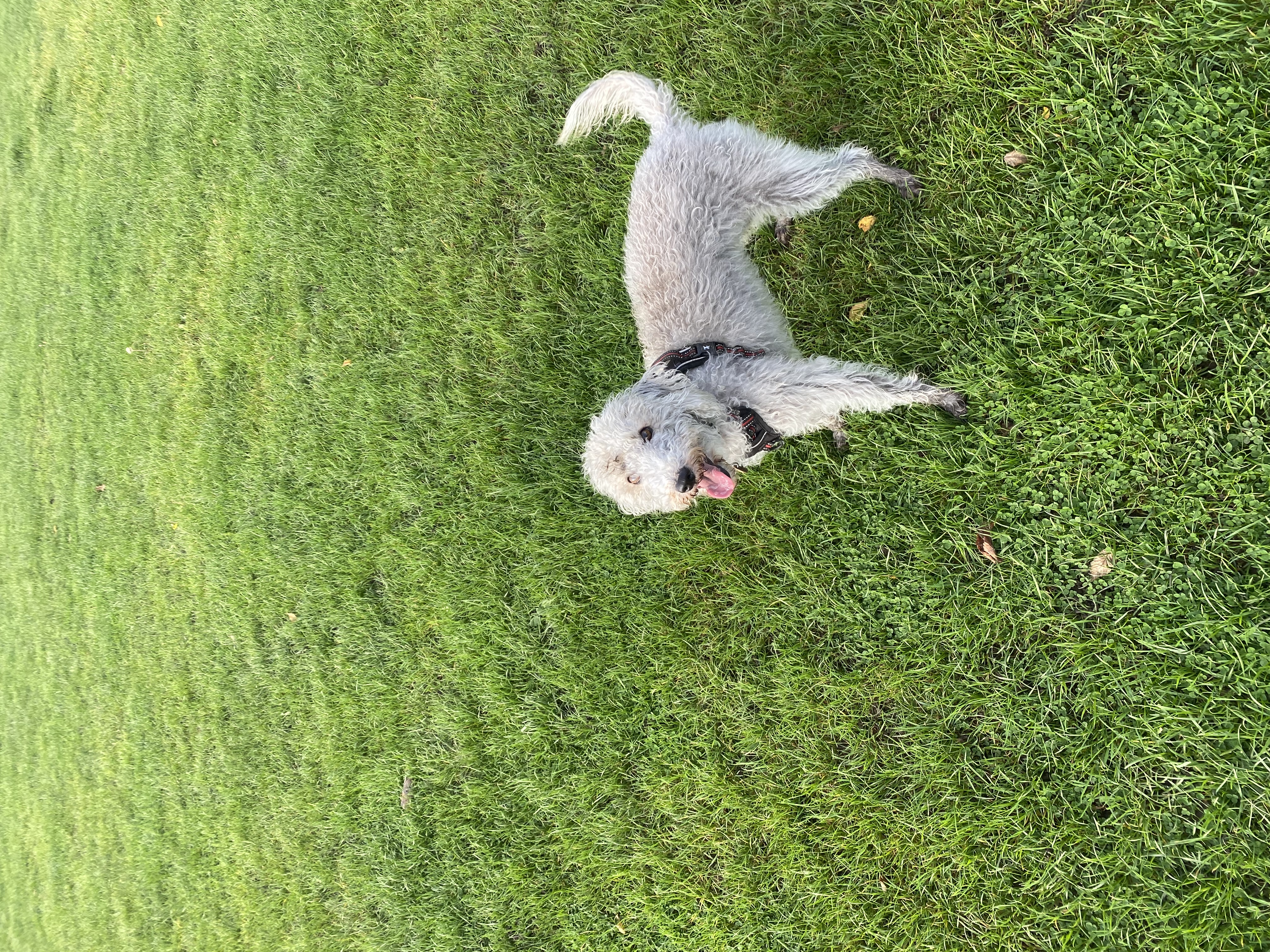 image-6