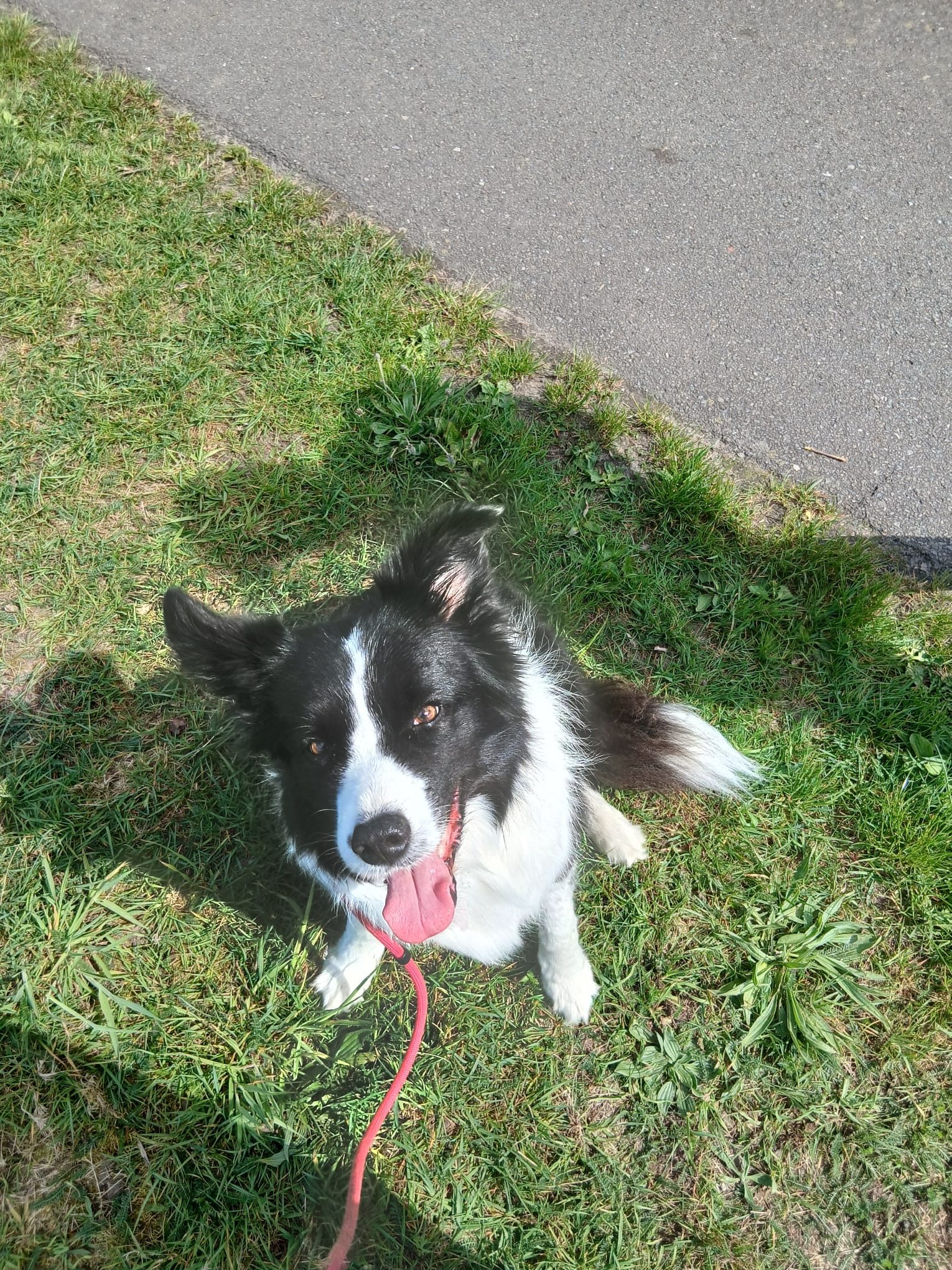 image-7