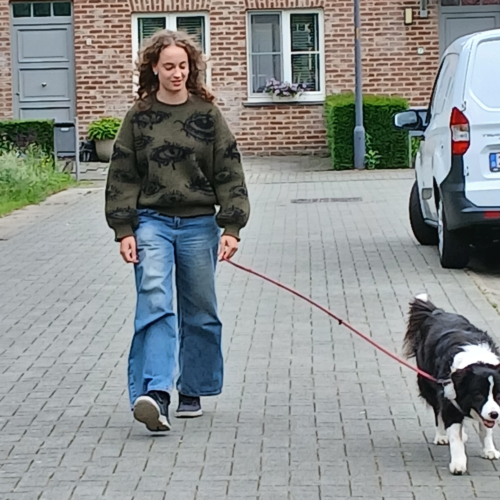 image-17
