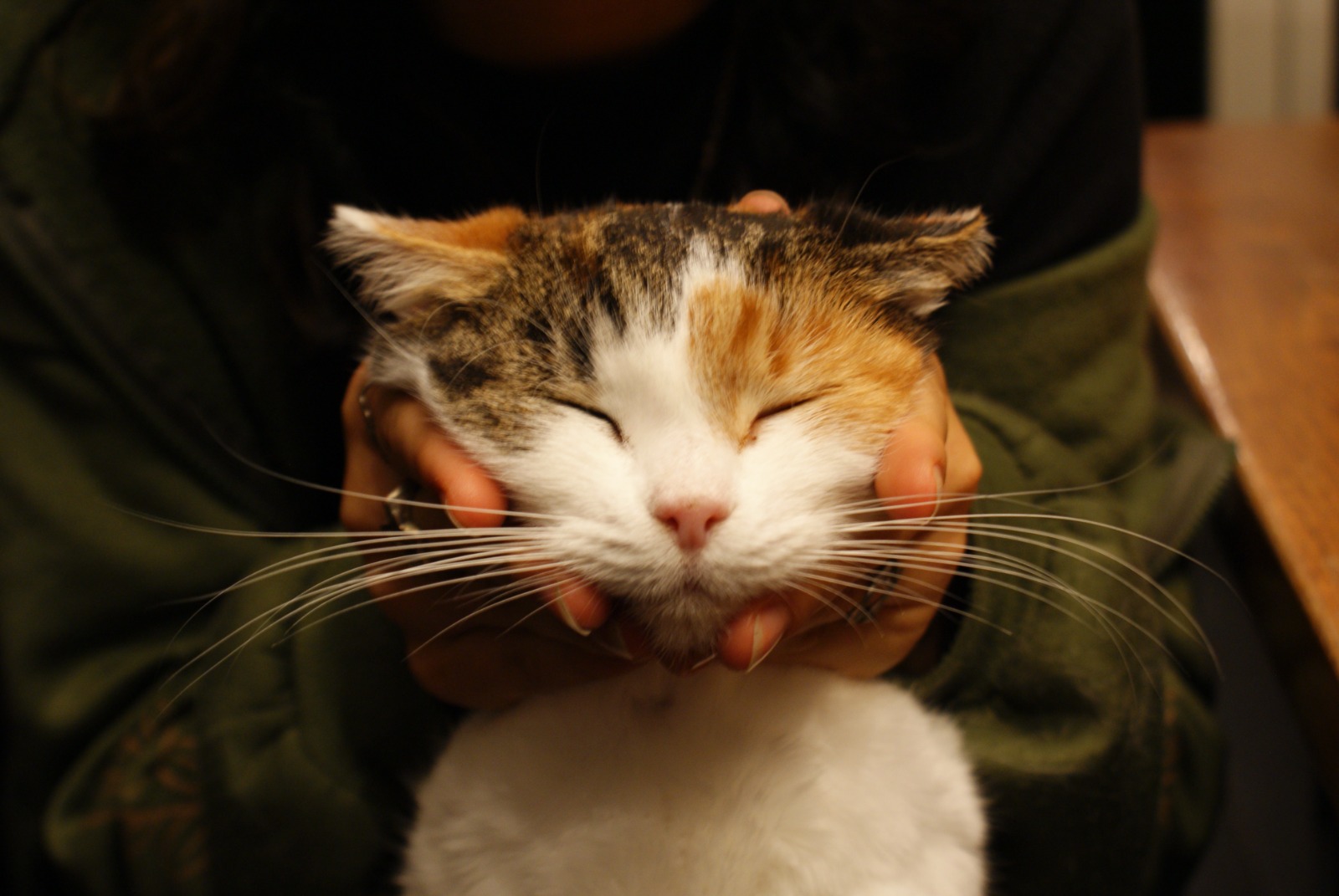image-6
