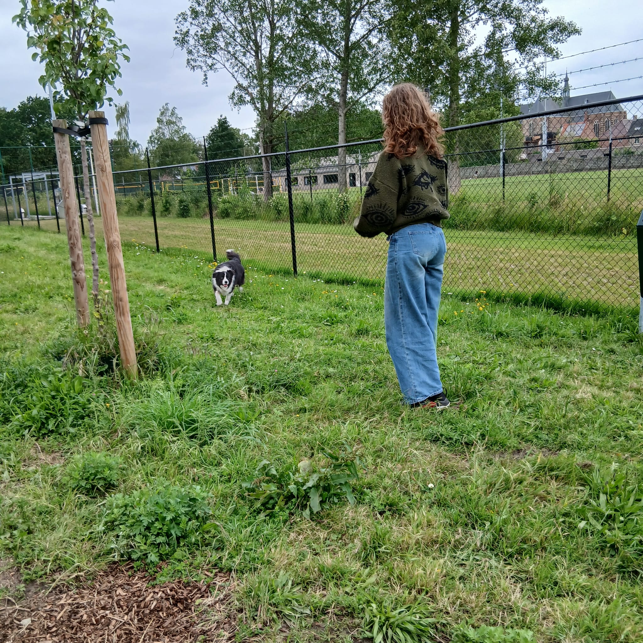 image-9