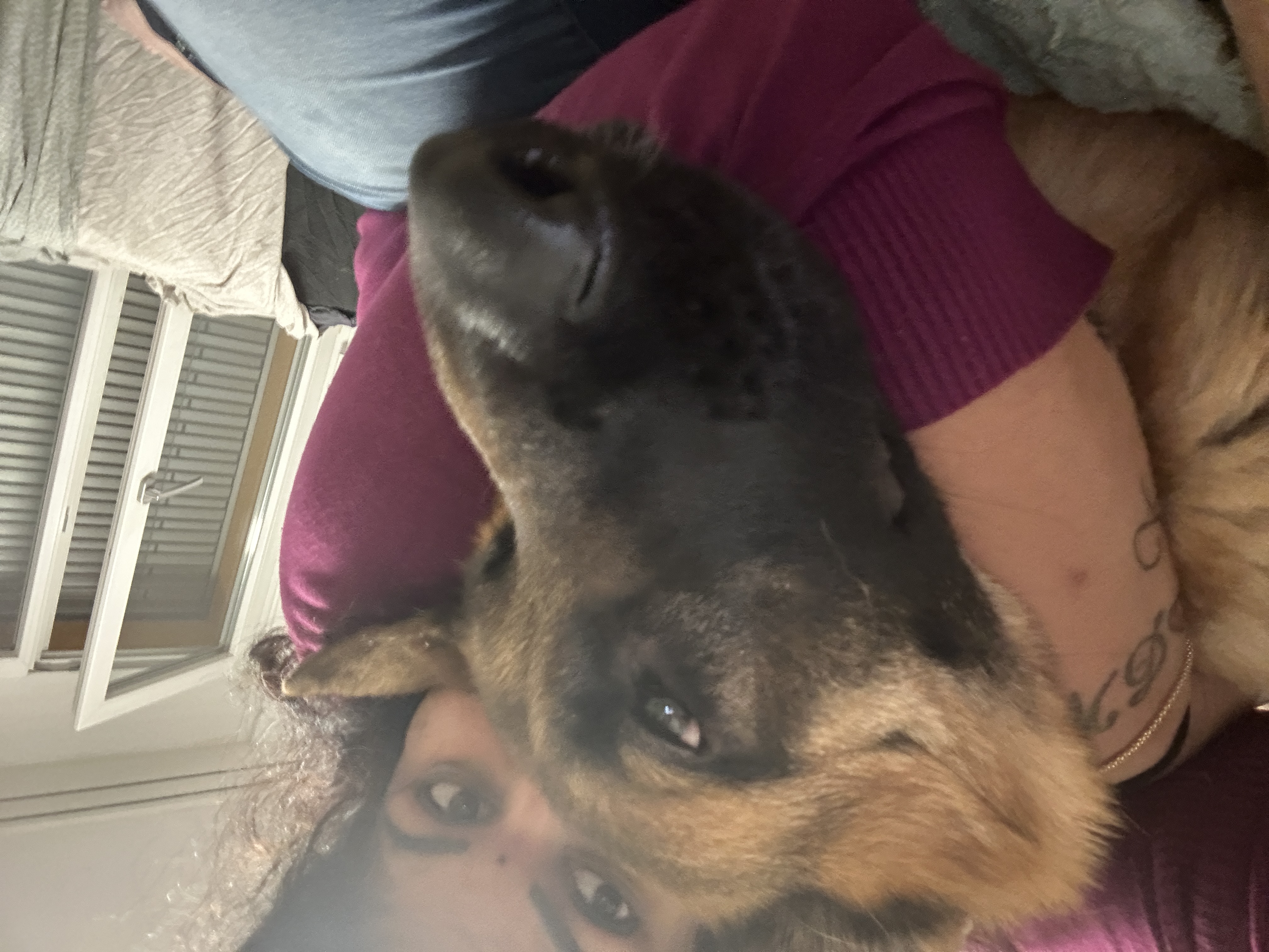 image-7