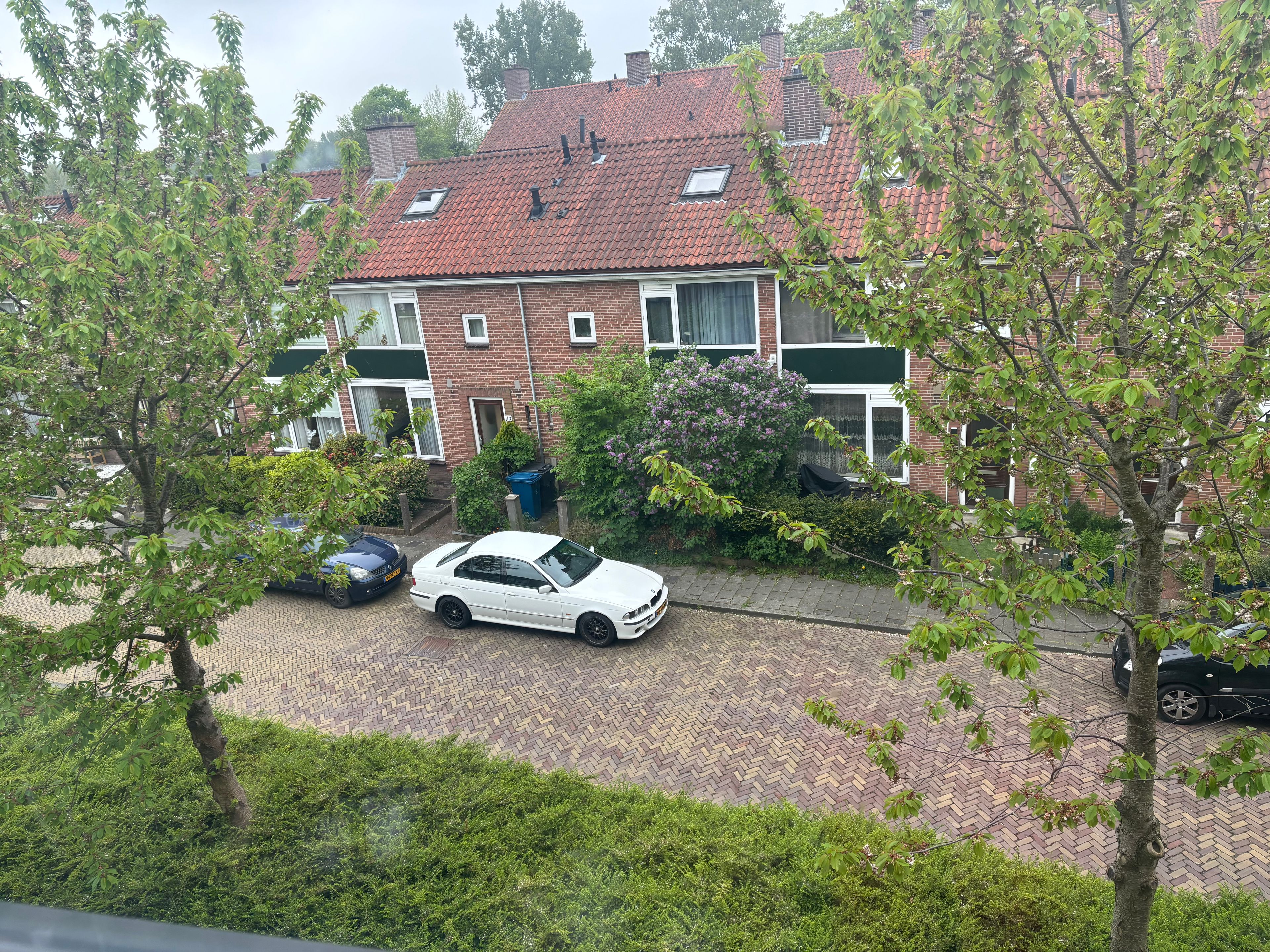 image-21