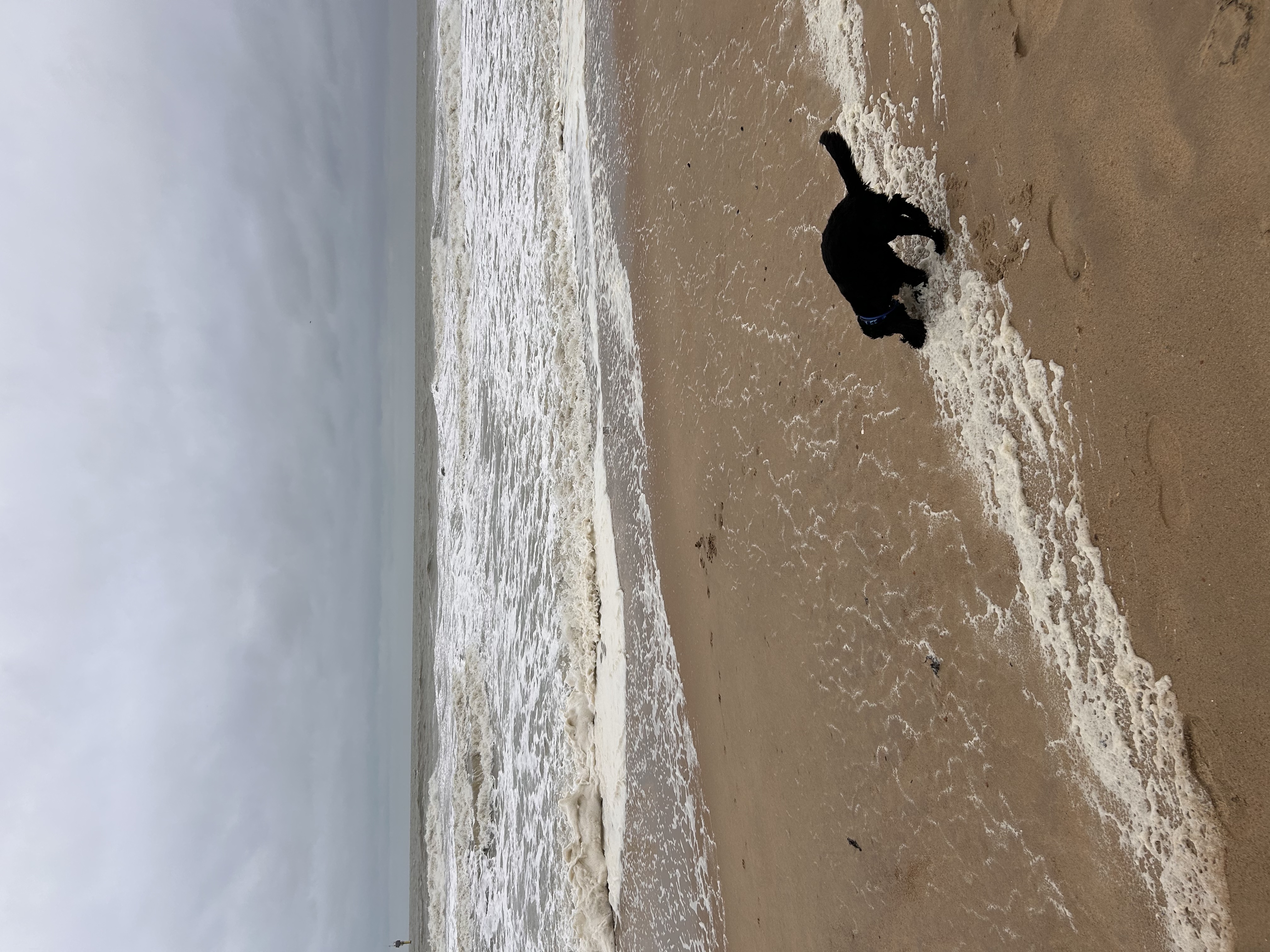 image-16