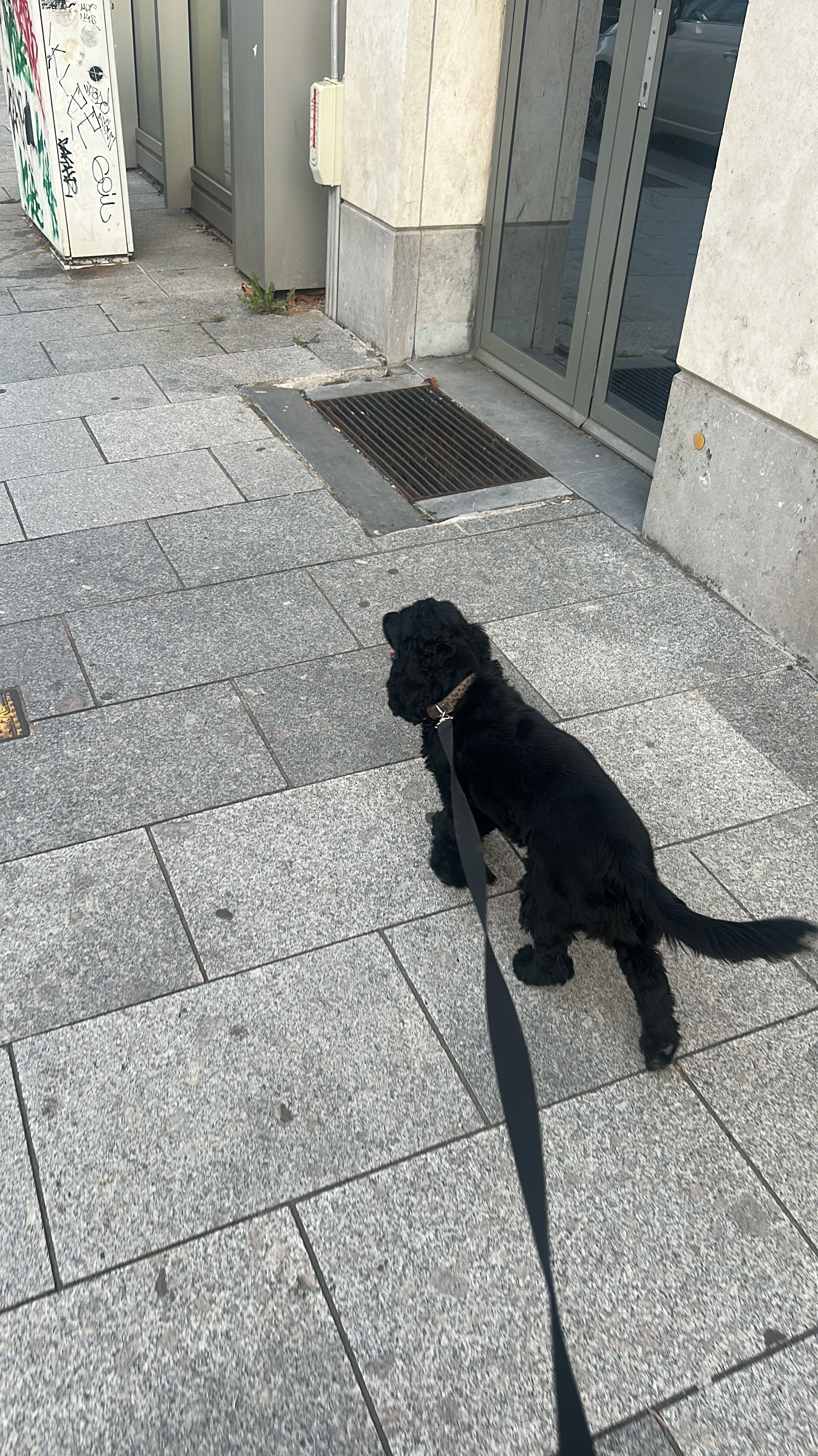 image-17