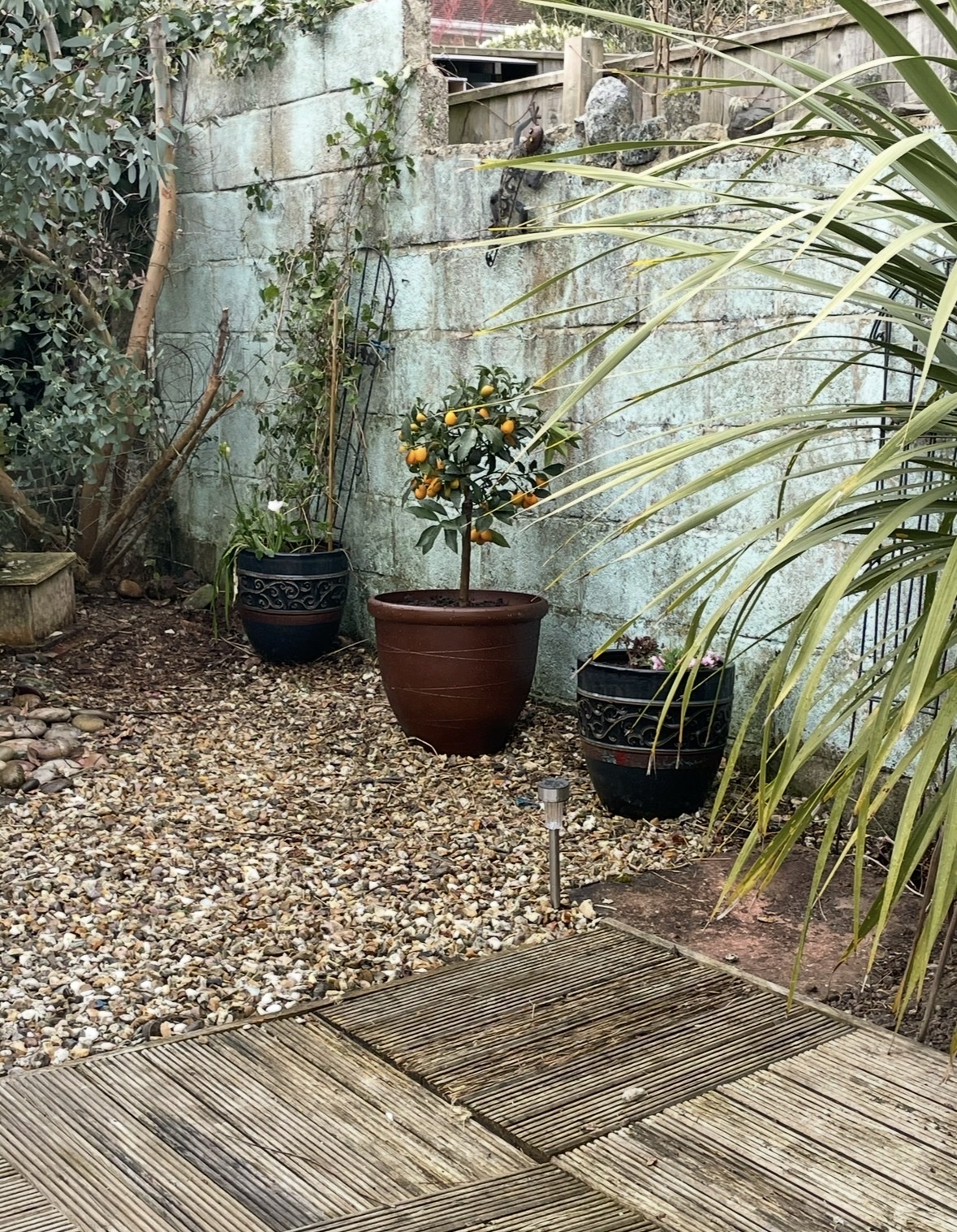 image-14