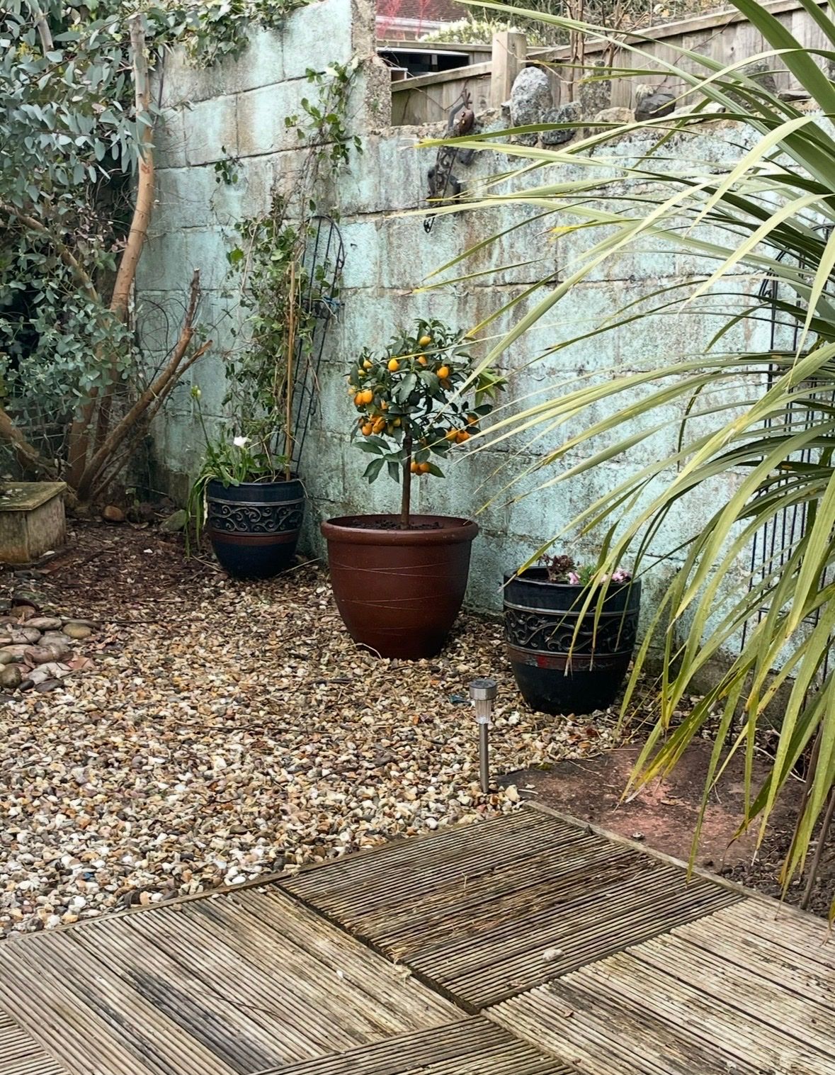 image-14