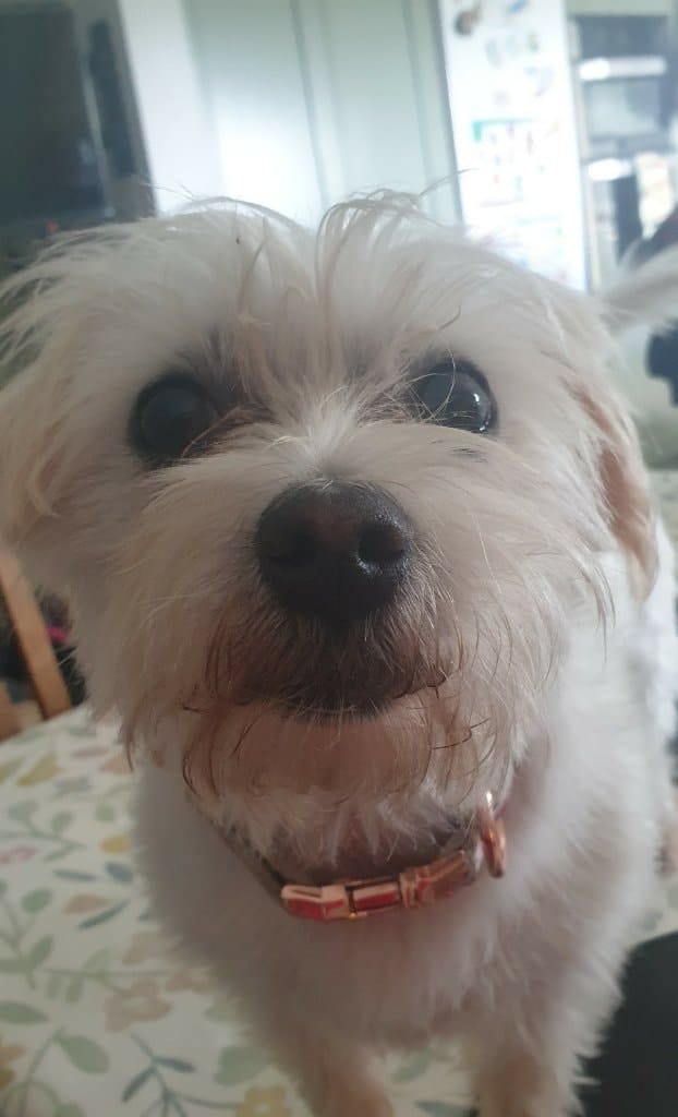 image-17
