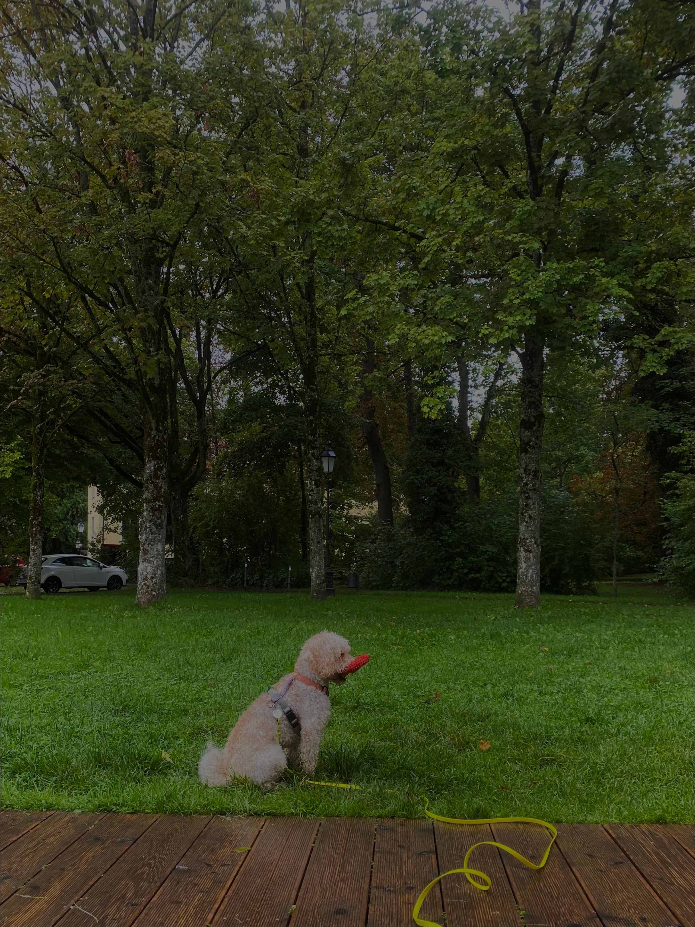 image-15