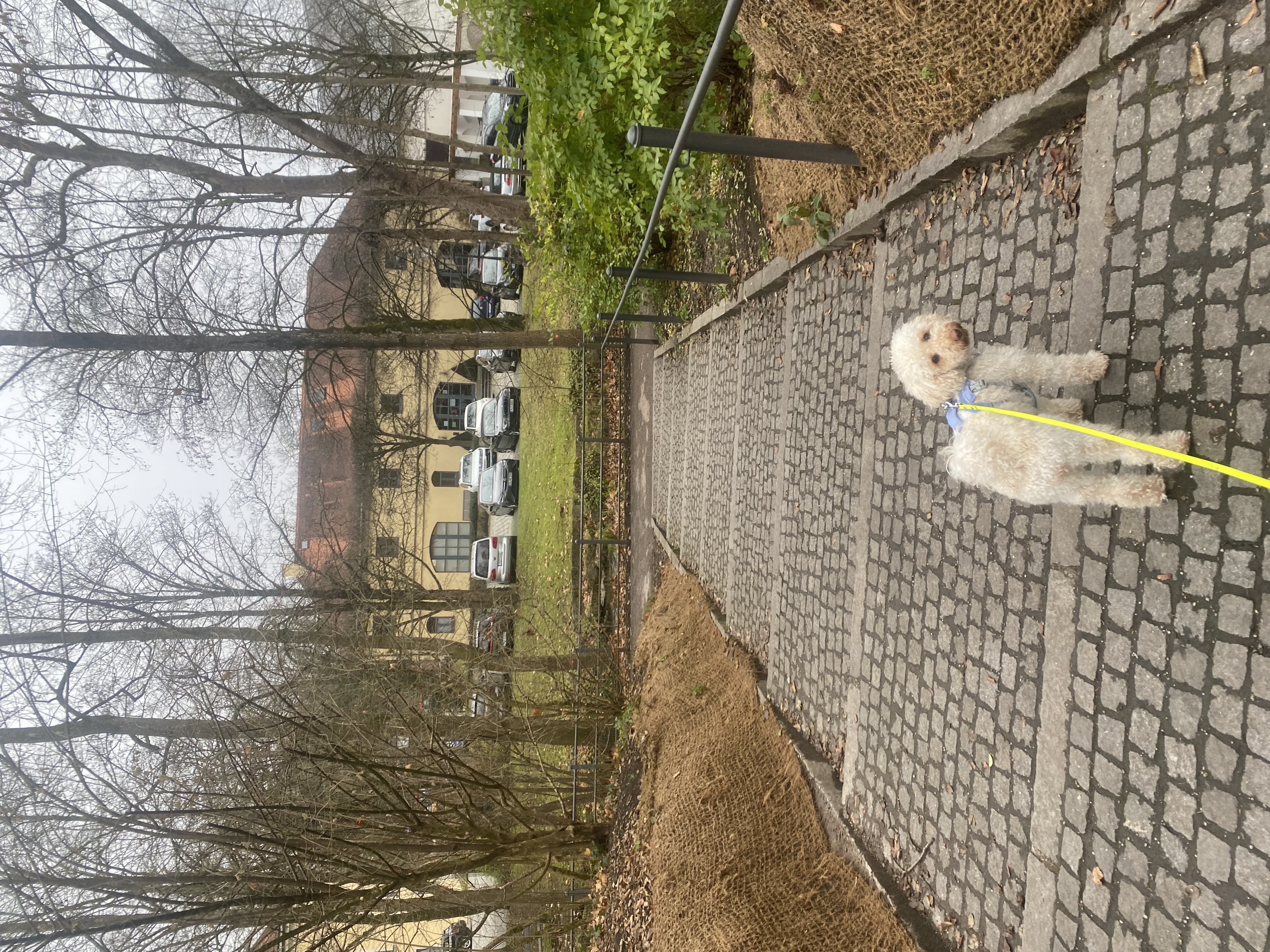 image-16