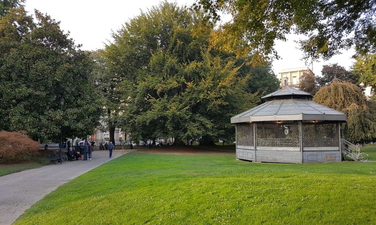 image-18