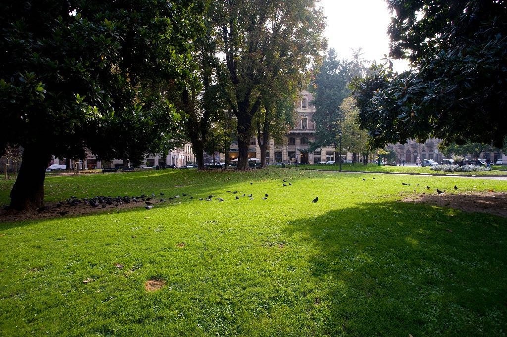 image-14