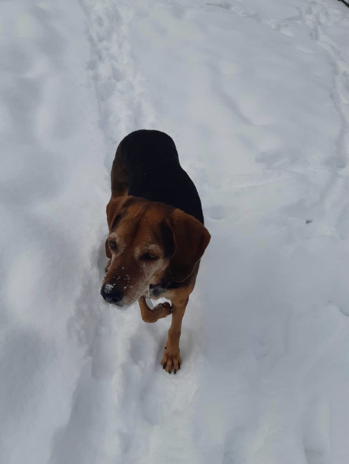 image-7
