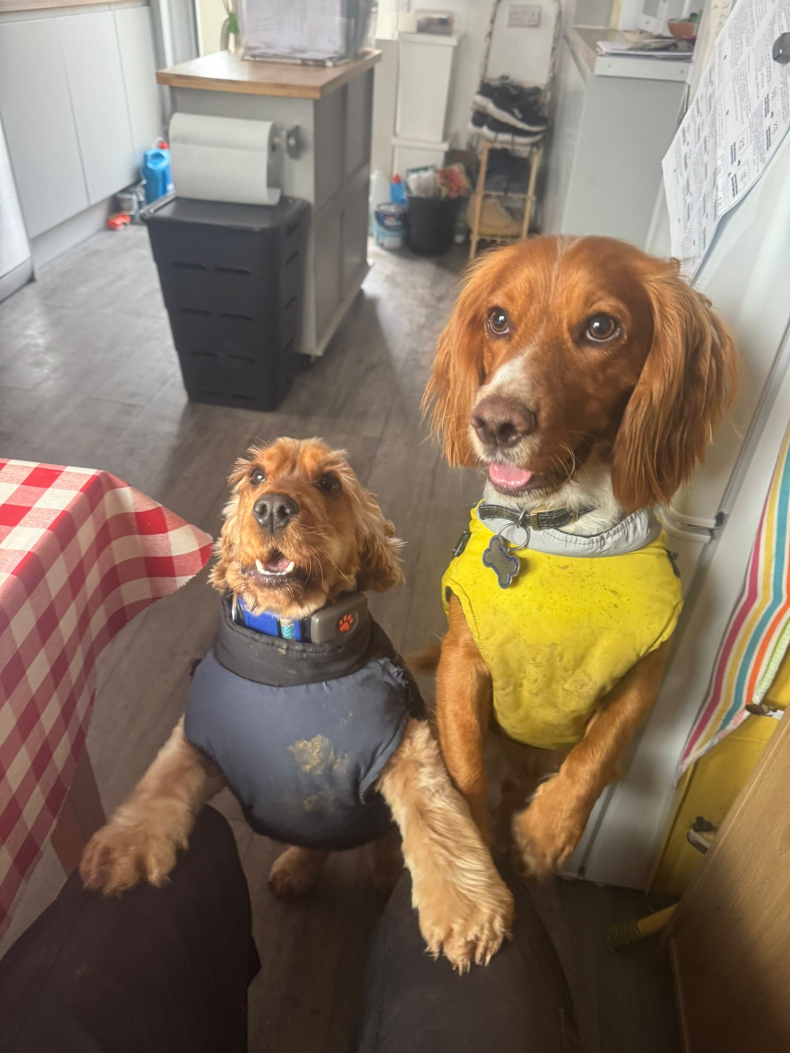 image-18