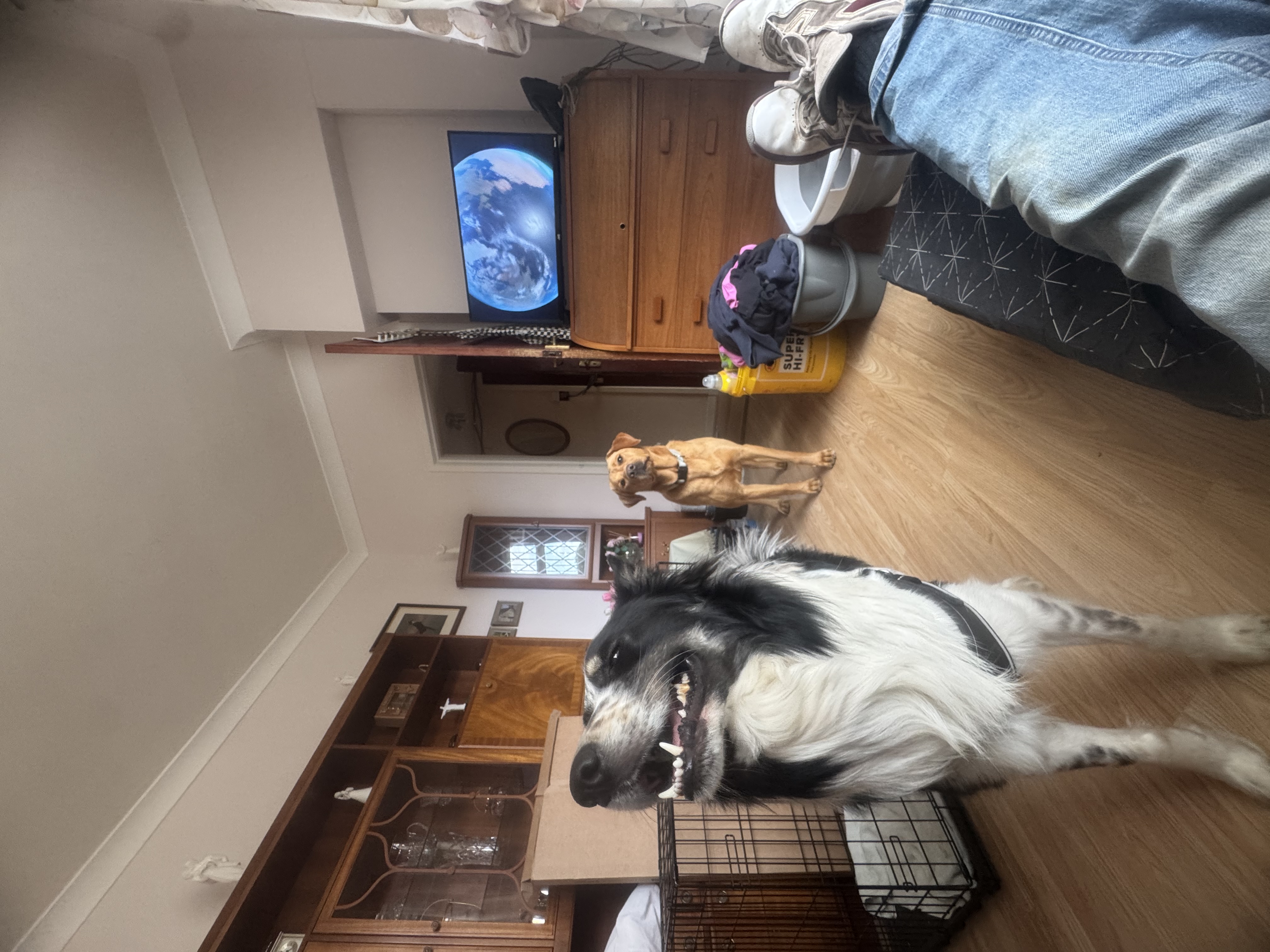 image-20