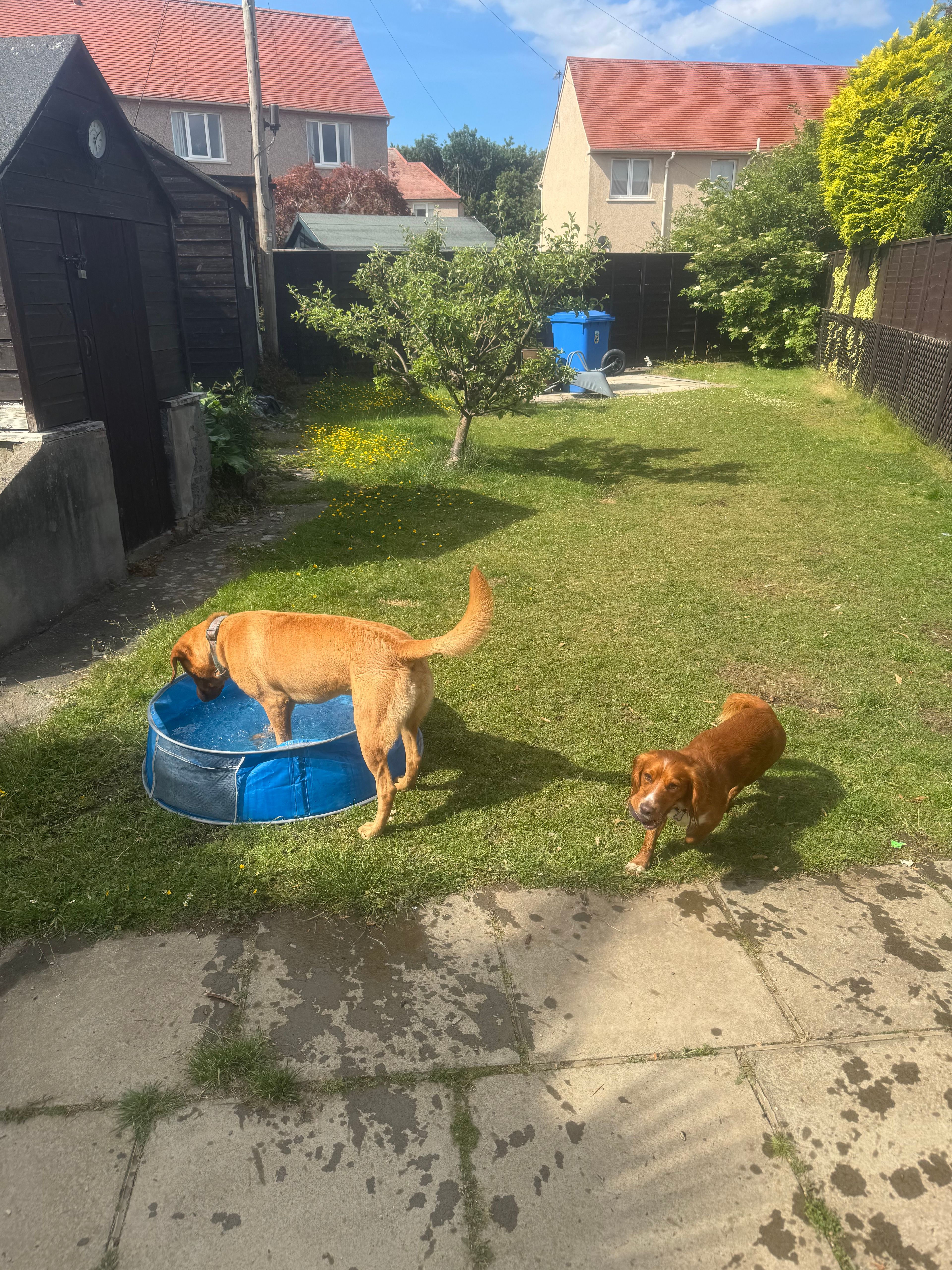 image-20
