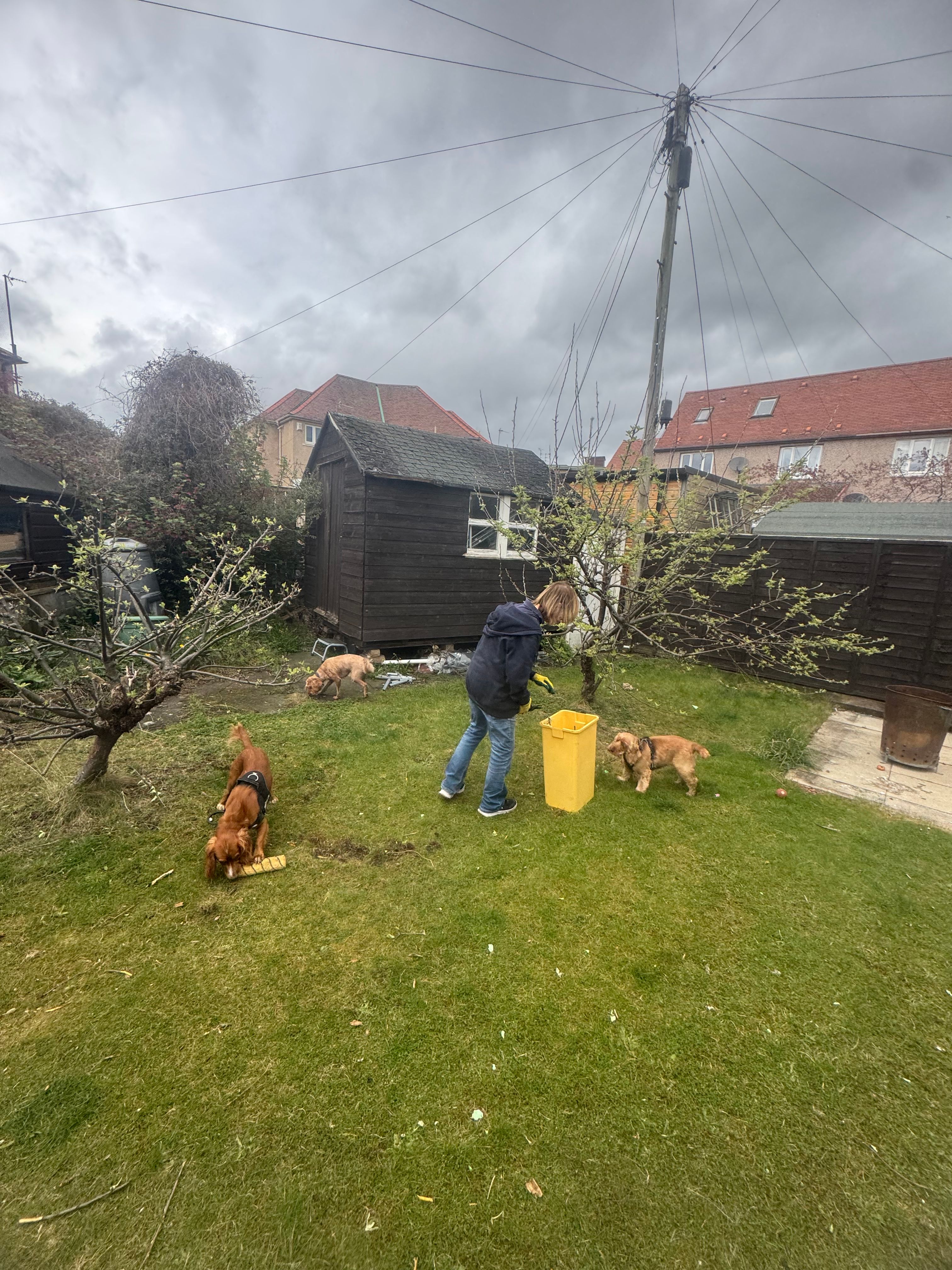 image-26