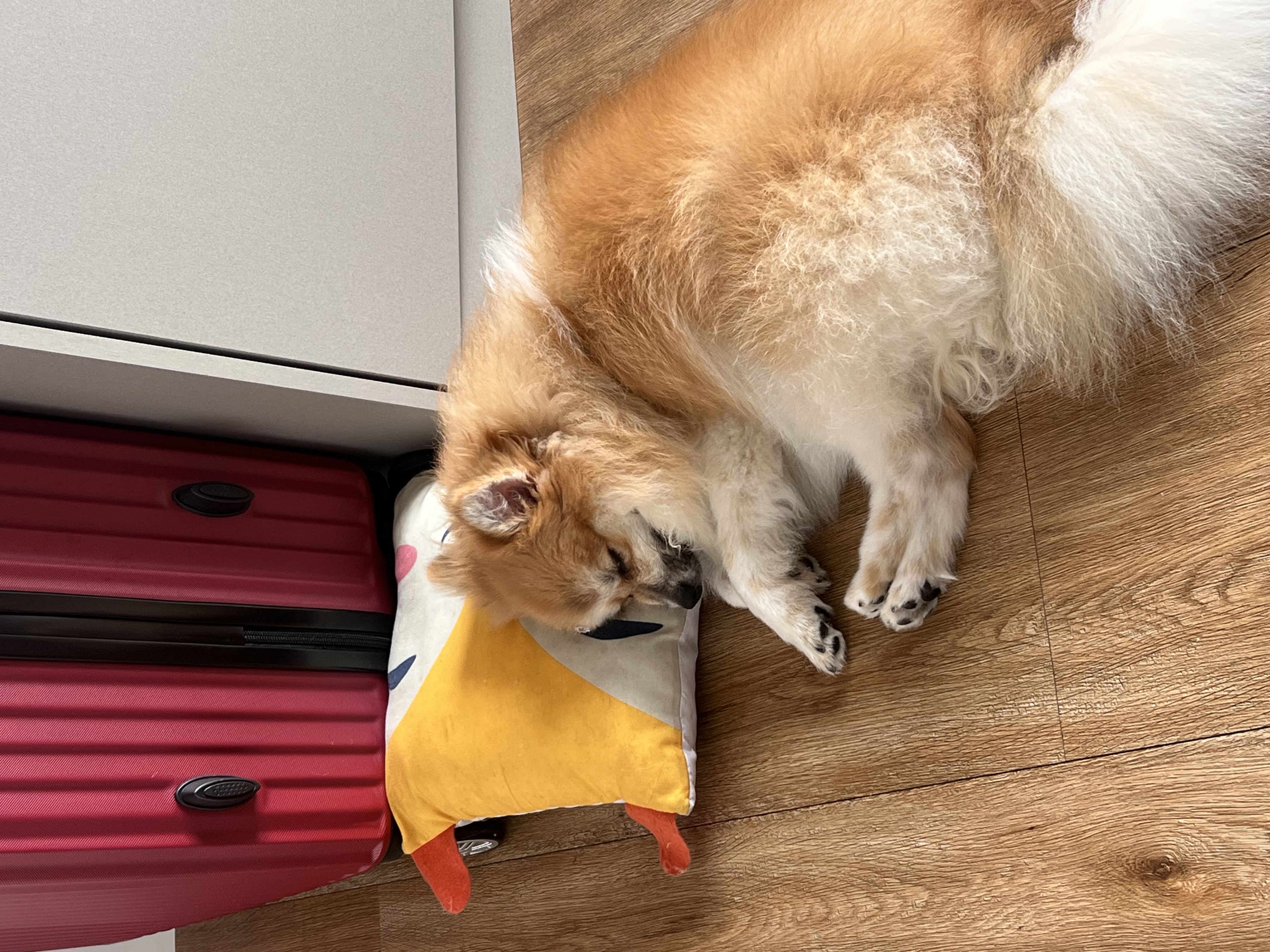 image-6