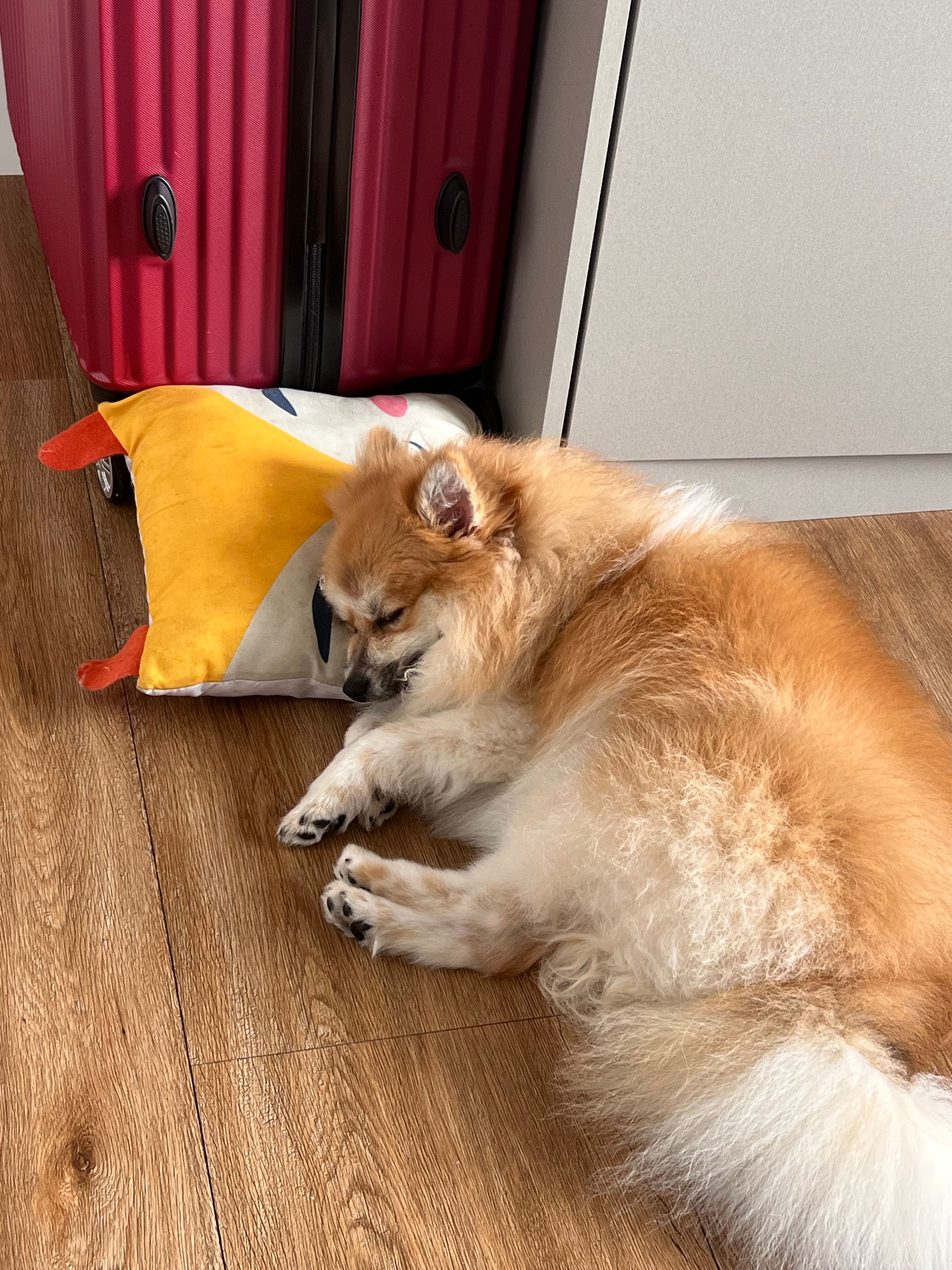 image-6