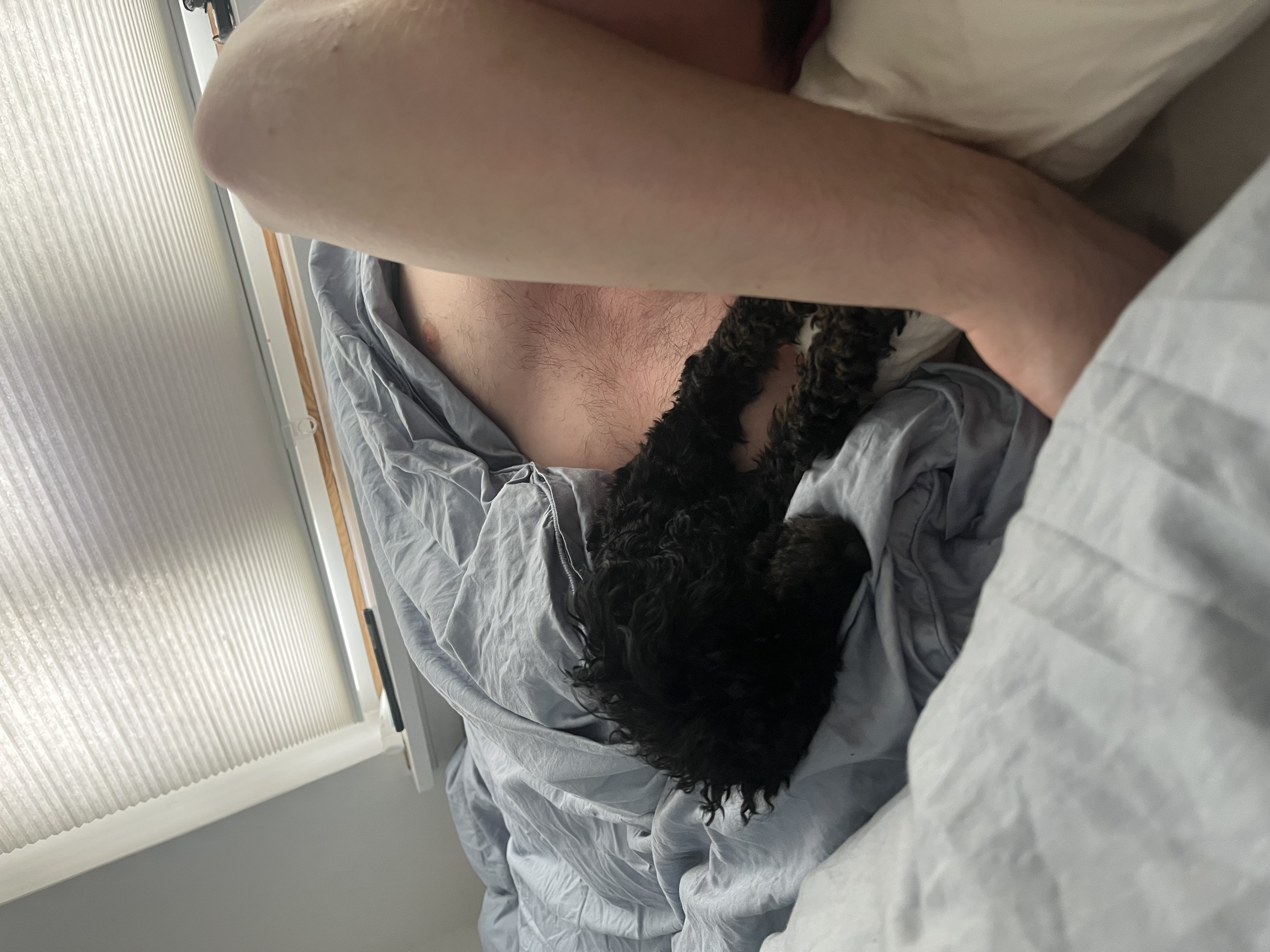 image-14