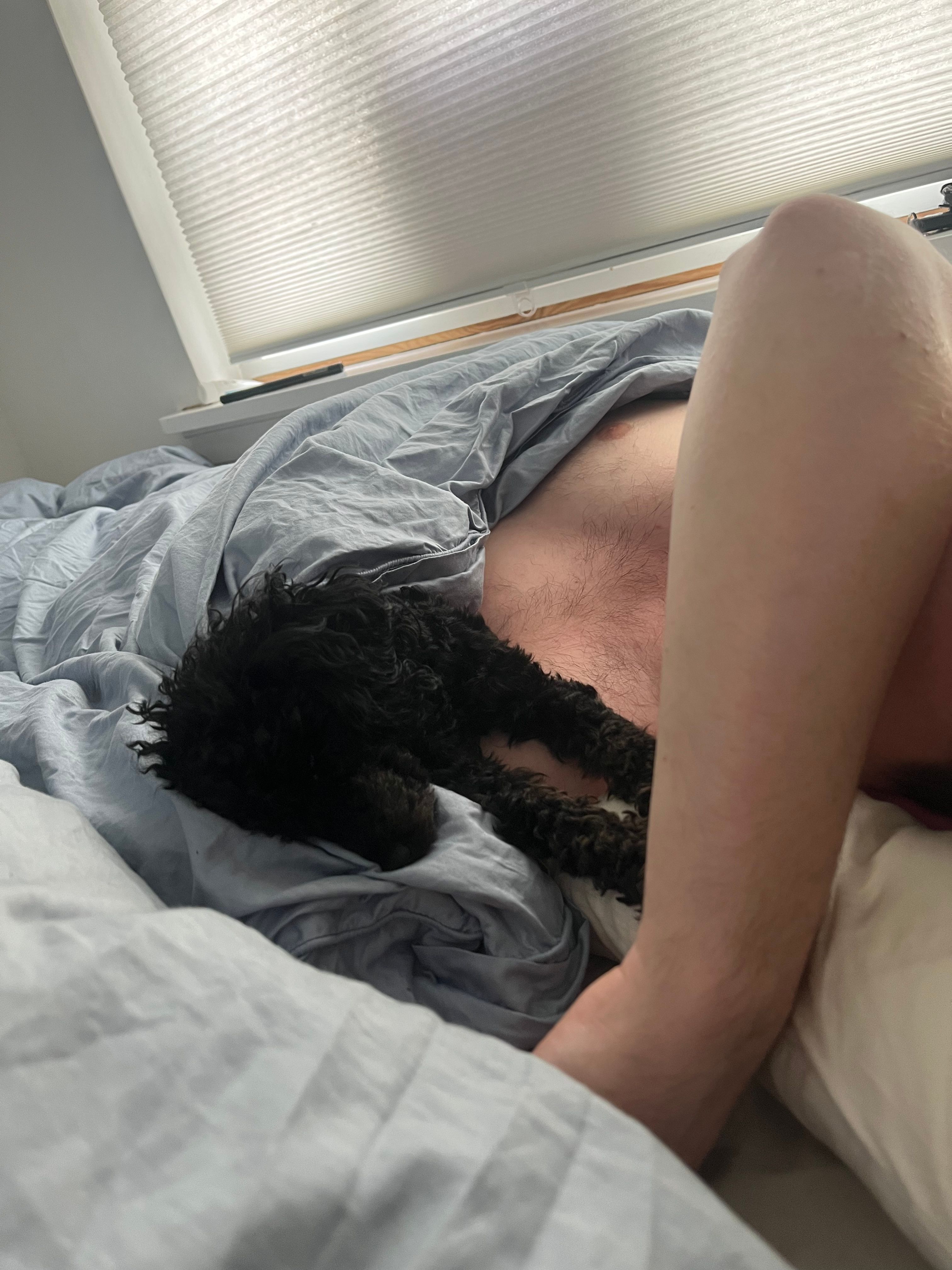 image-14