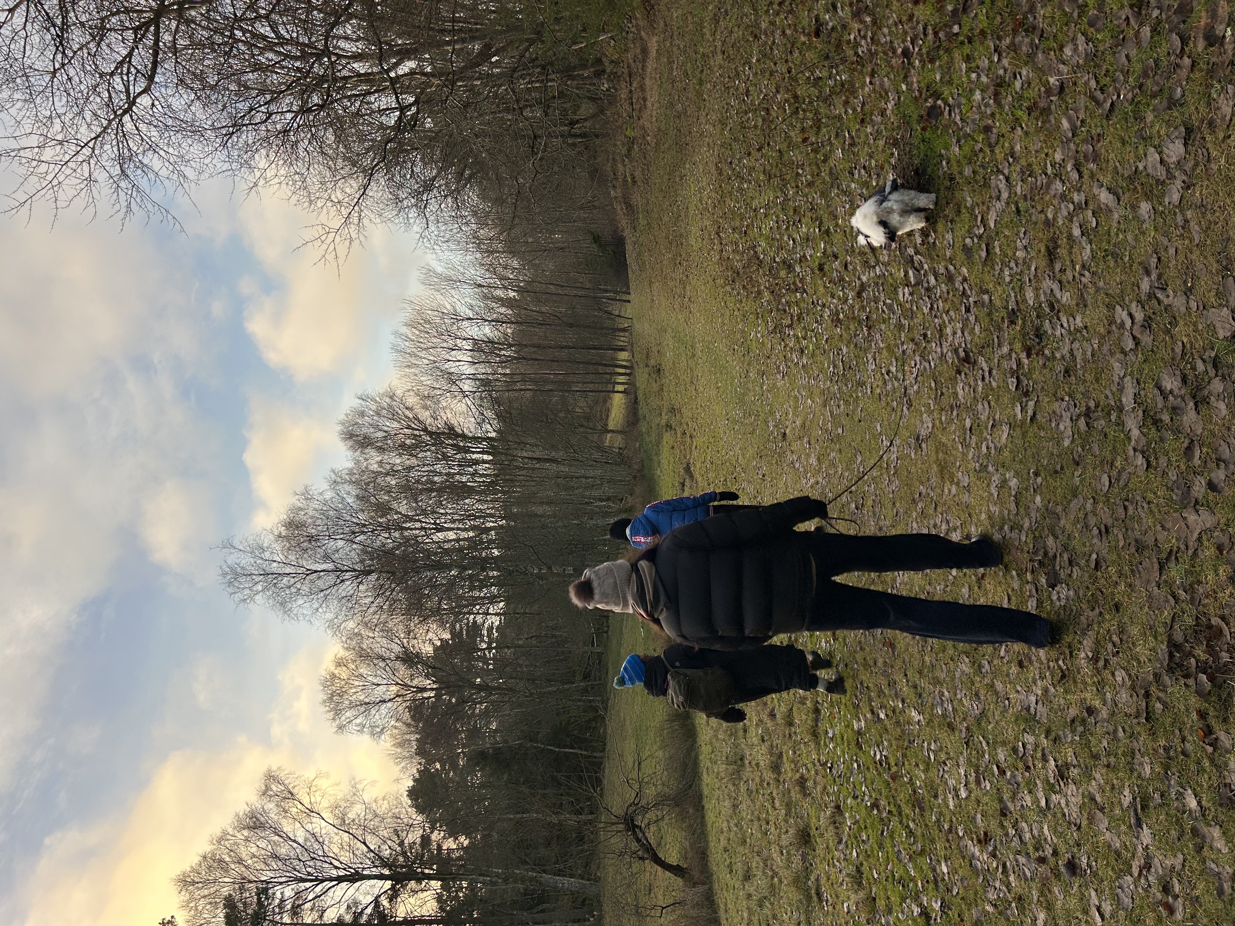 image-1