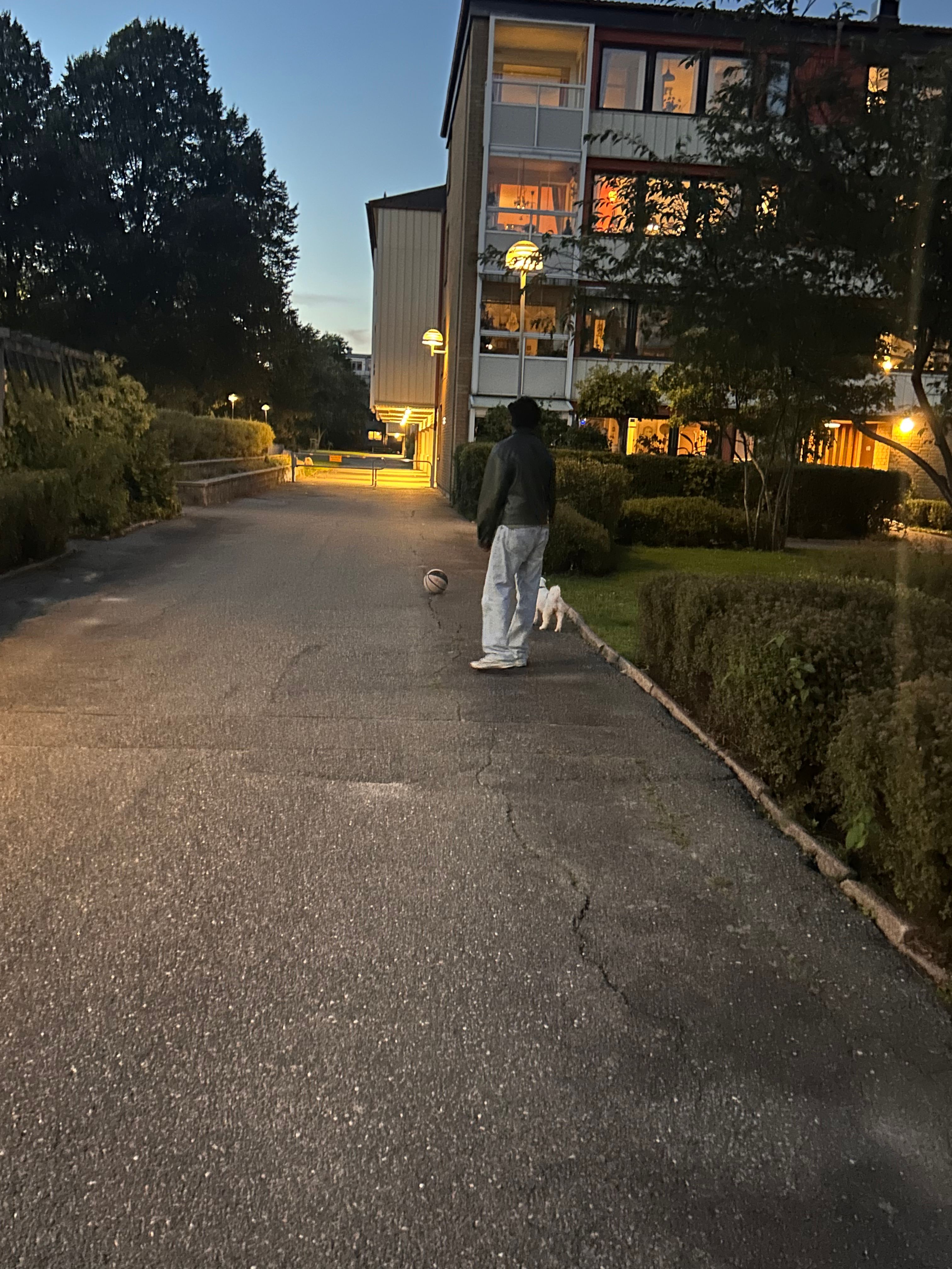 image-5