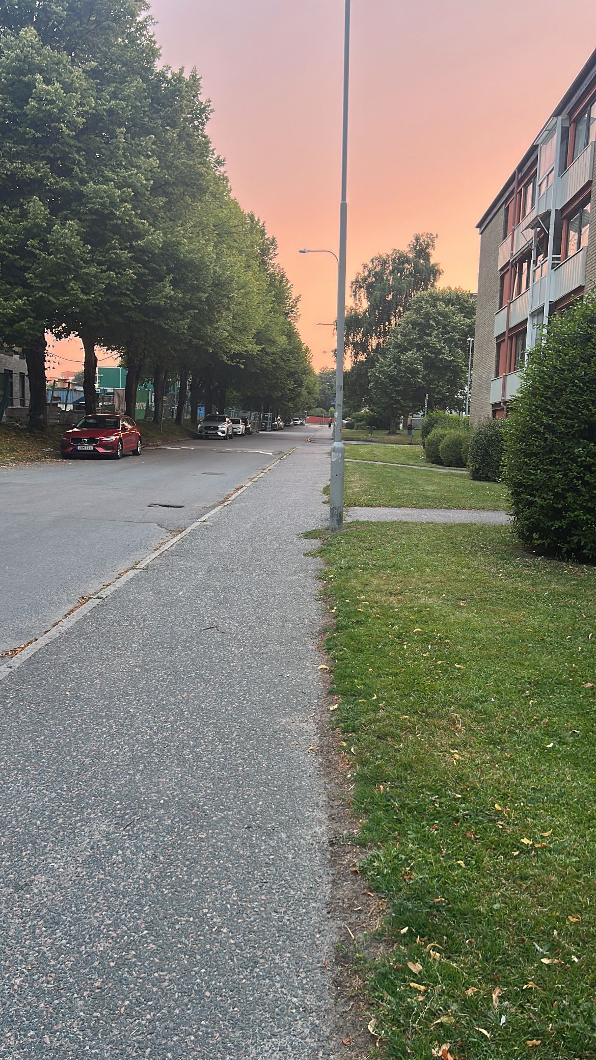 image-8