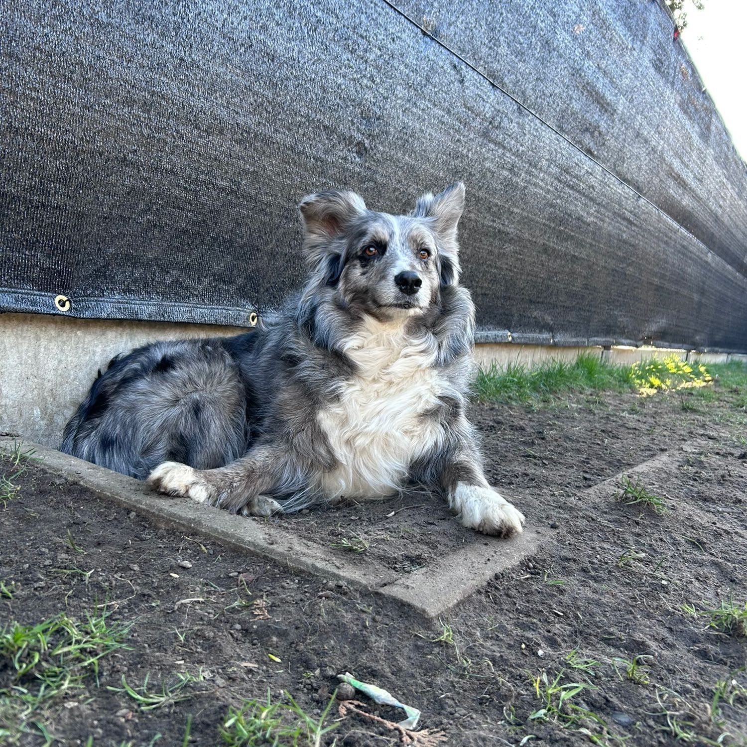Skye