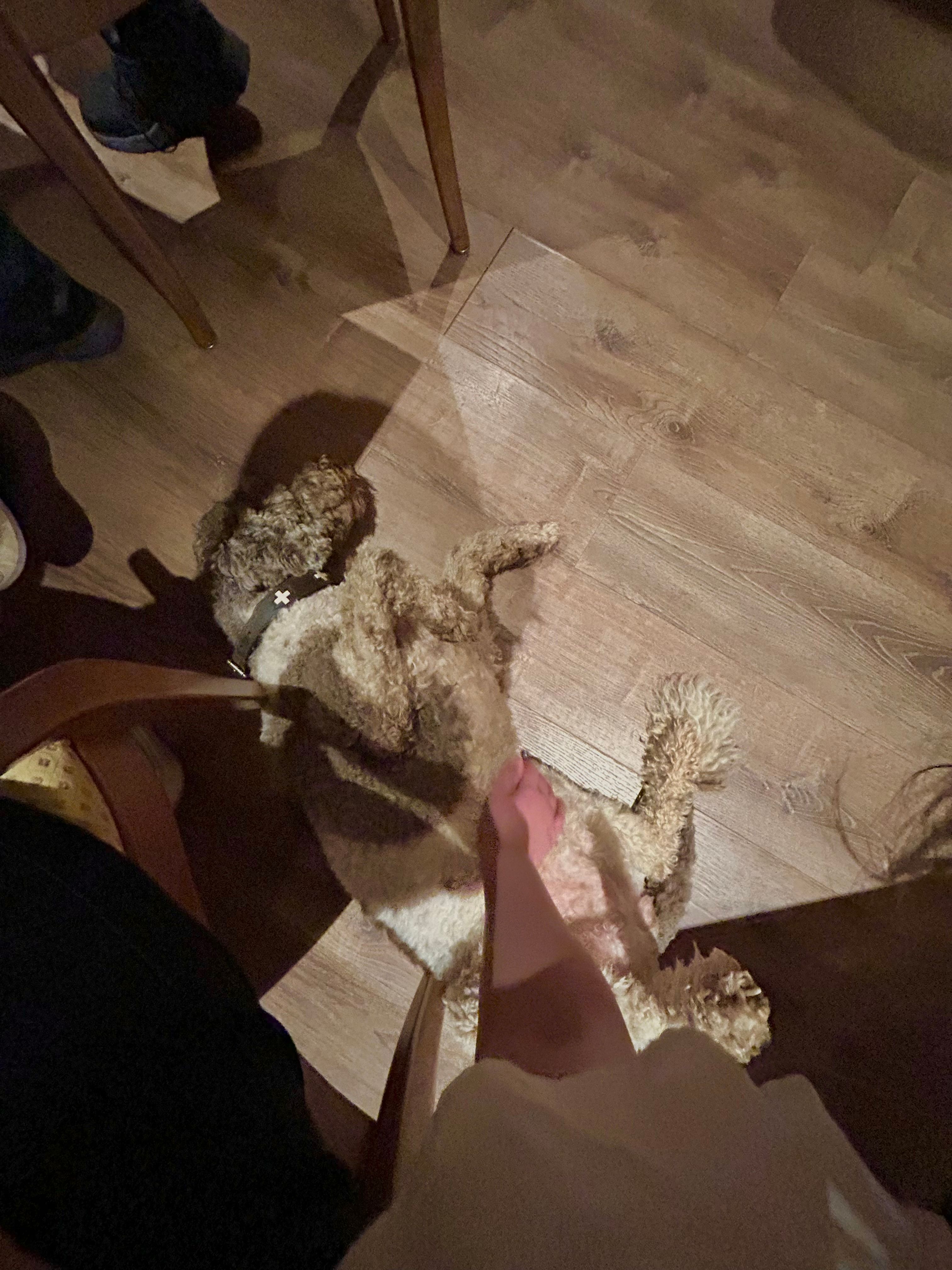 image-11