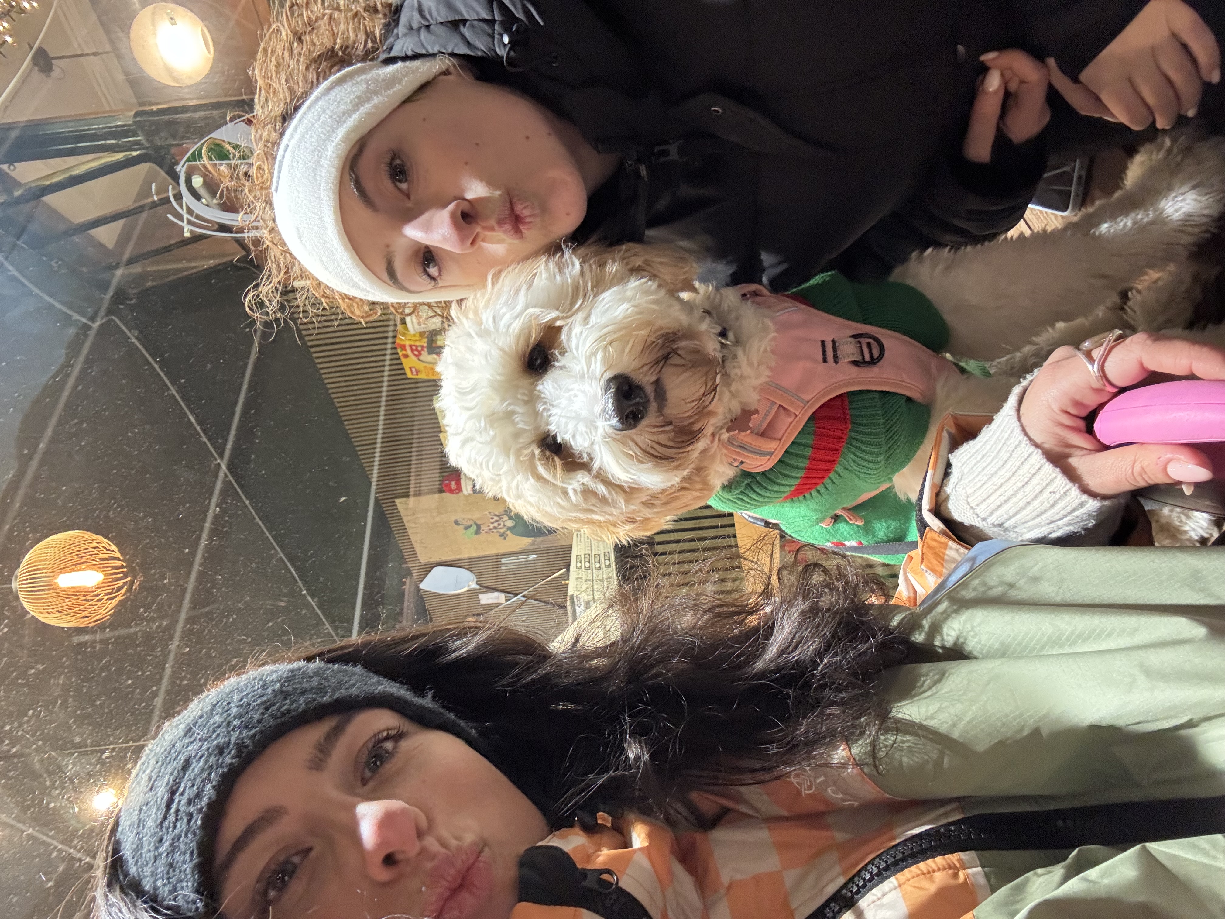 image-7