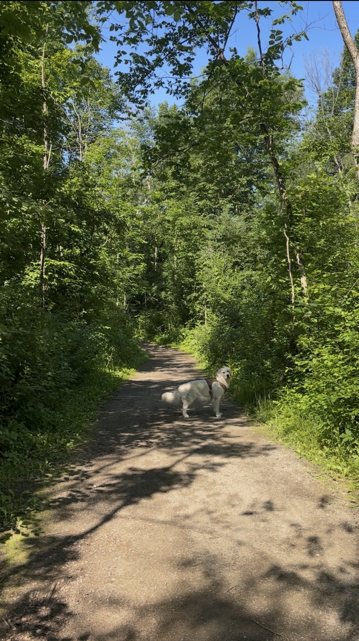 image-33