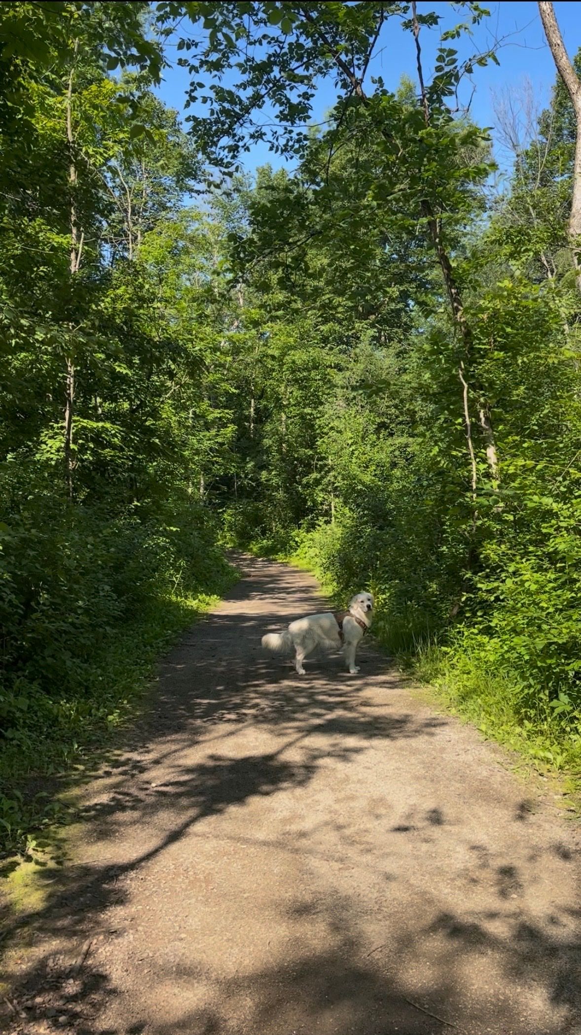 image-33
