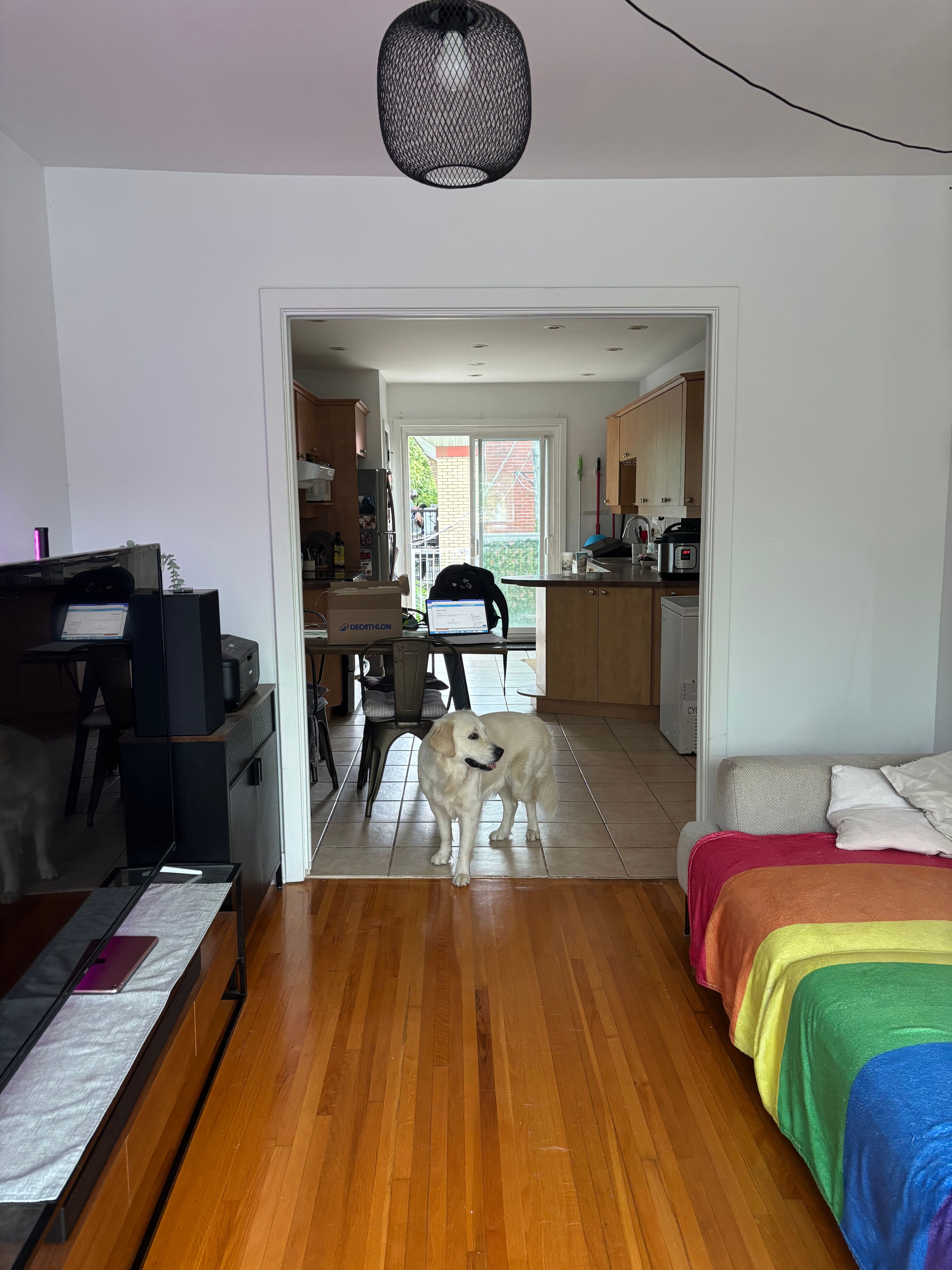 image-20