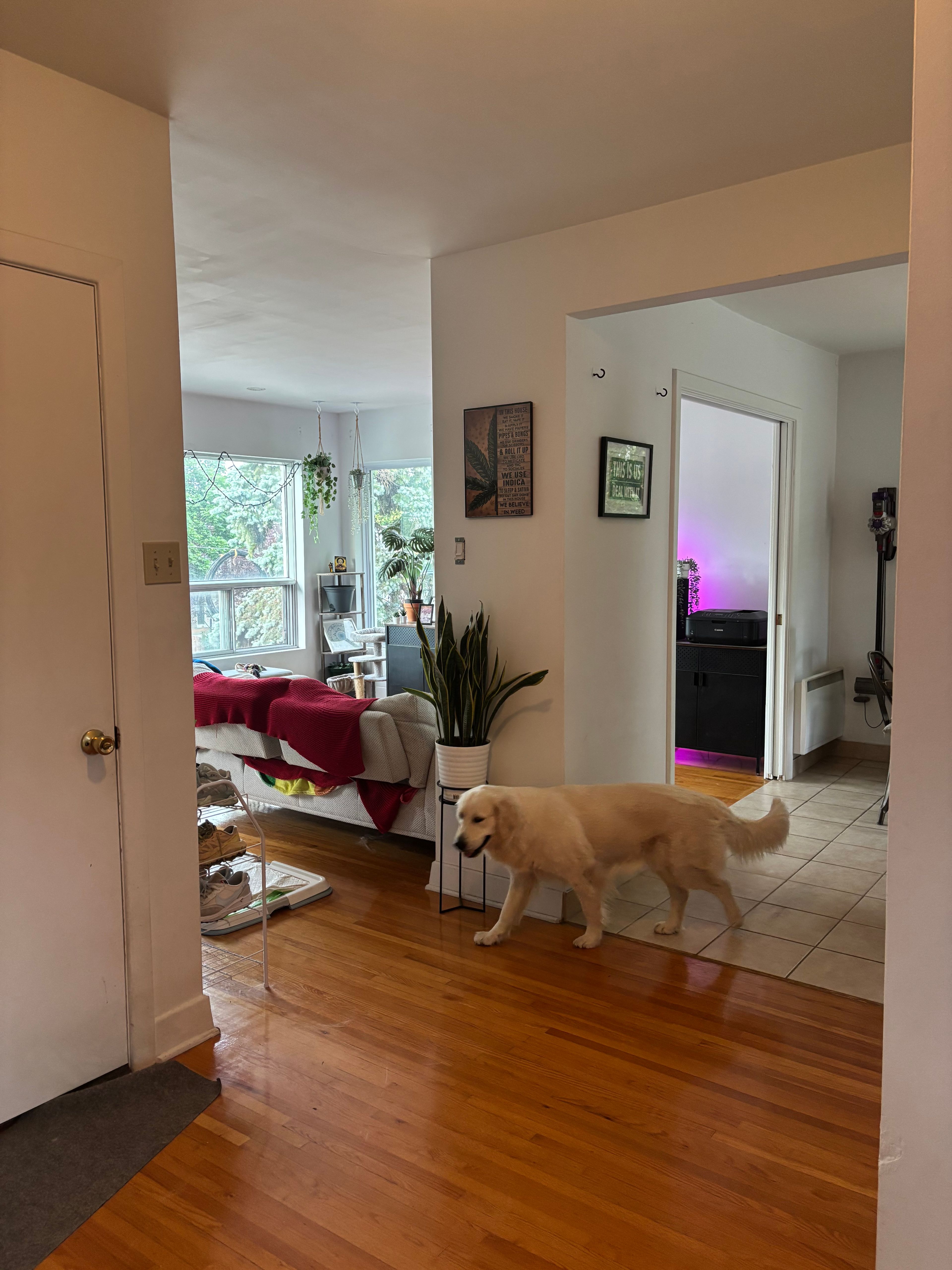 image-19