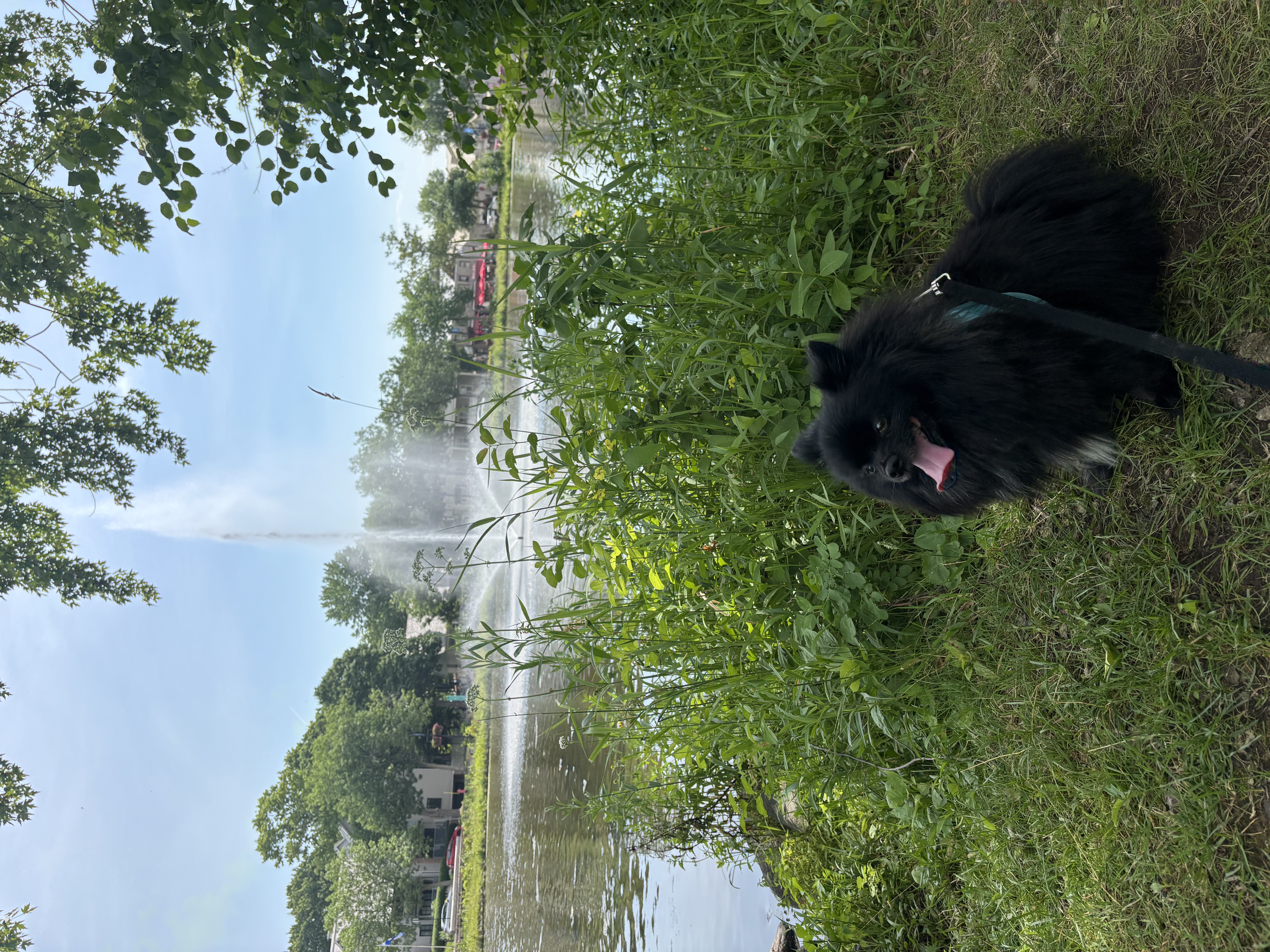 image-27