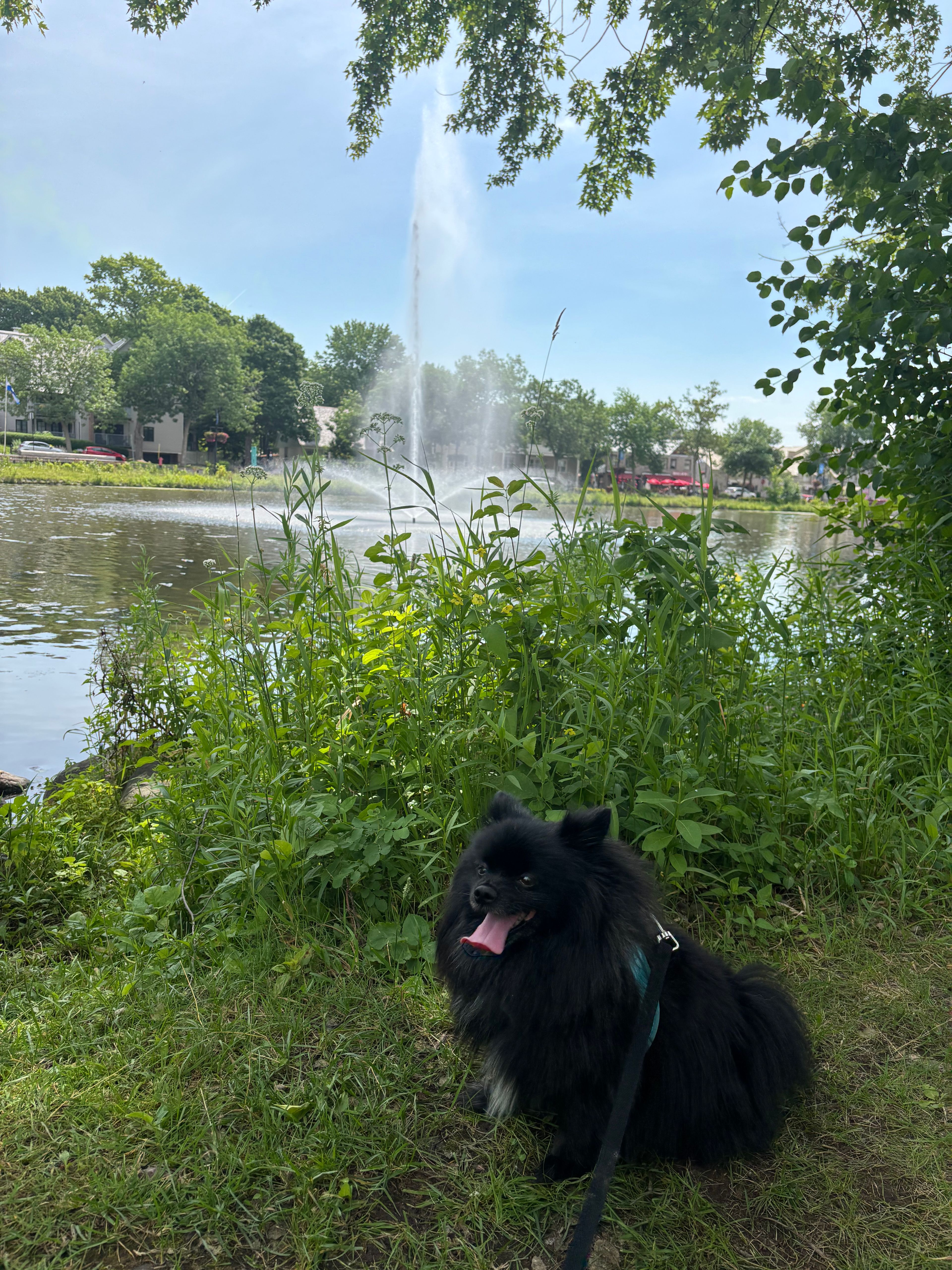 image-27