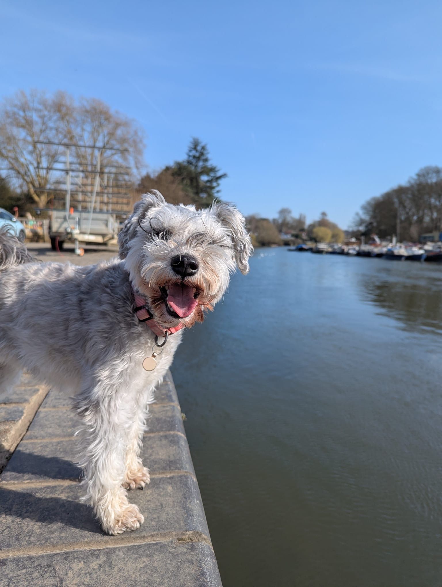 image-3
