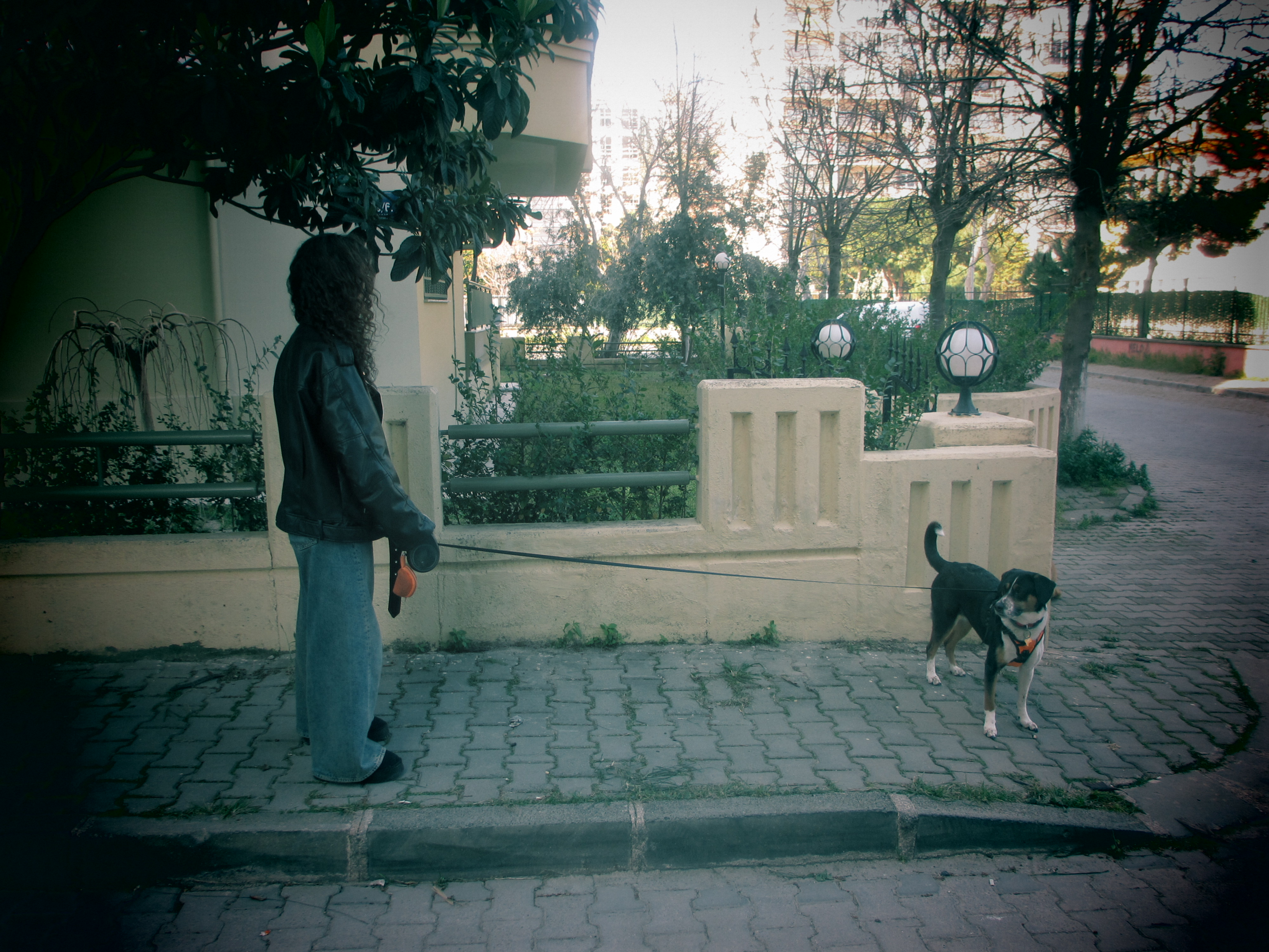 image-50