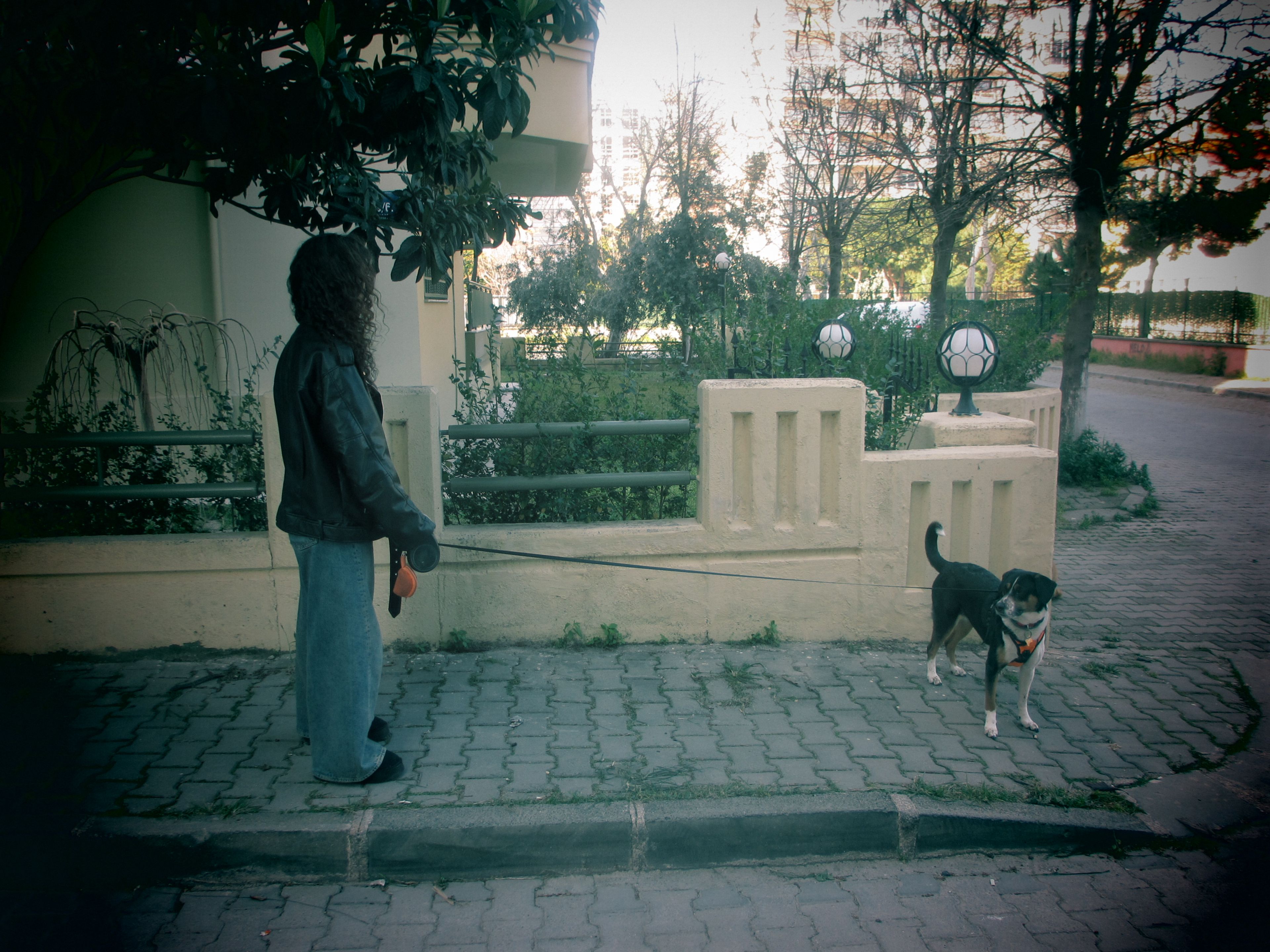 image-50