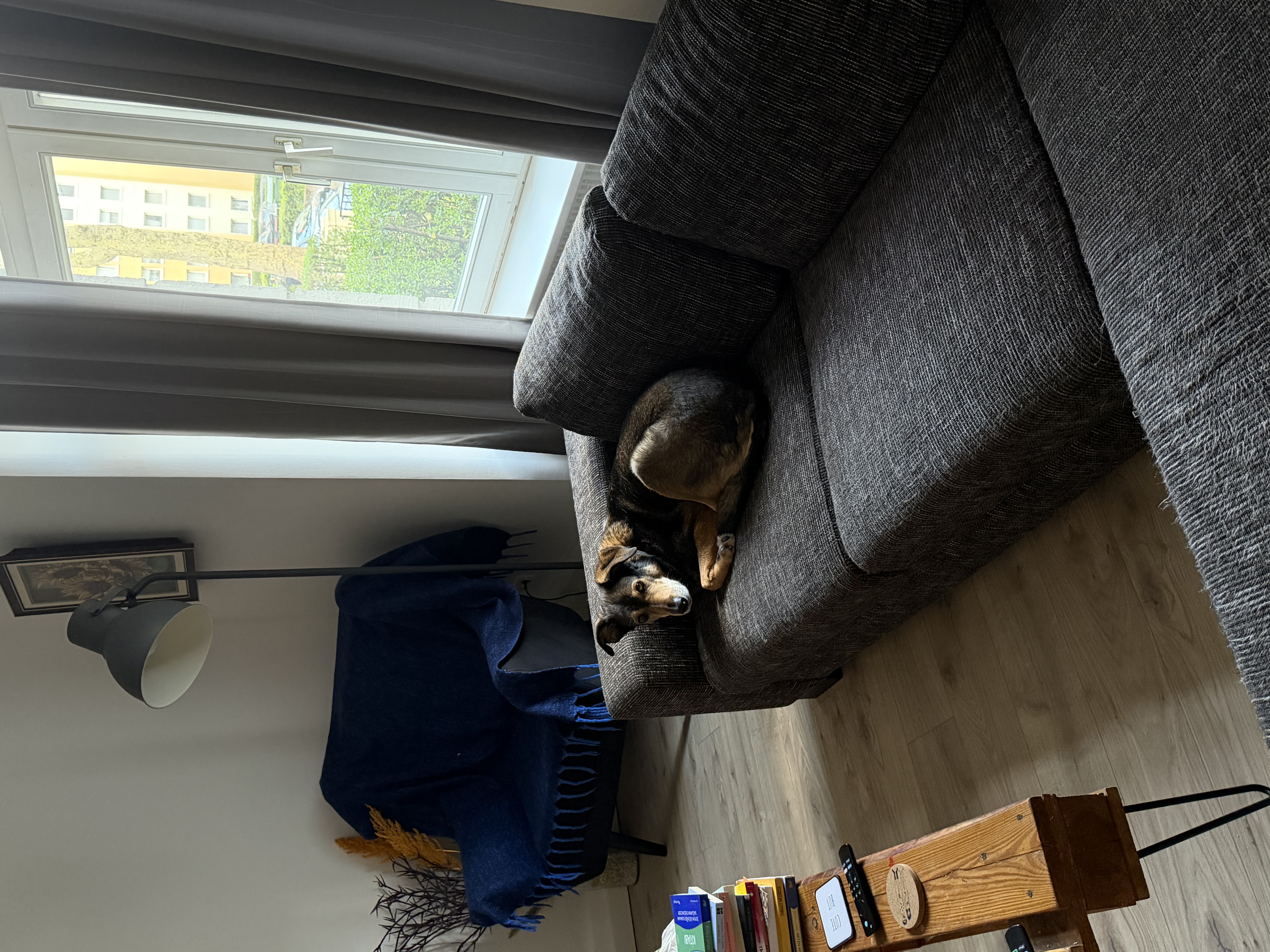 image-48