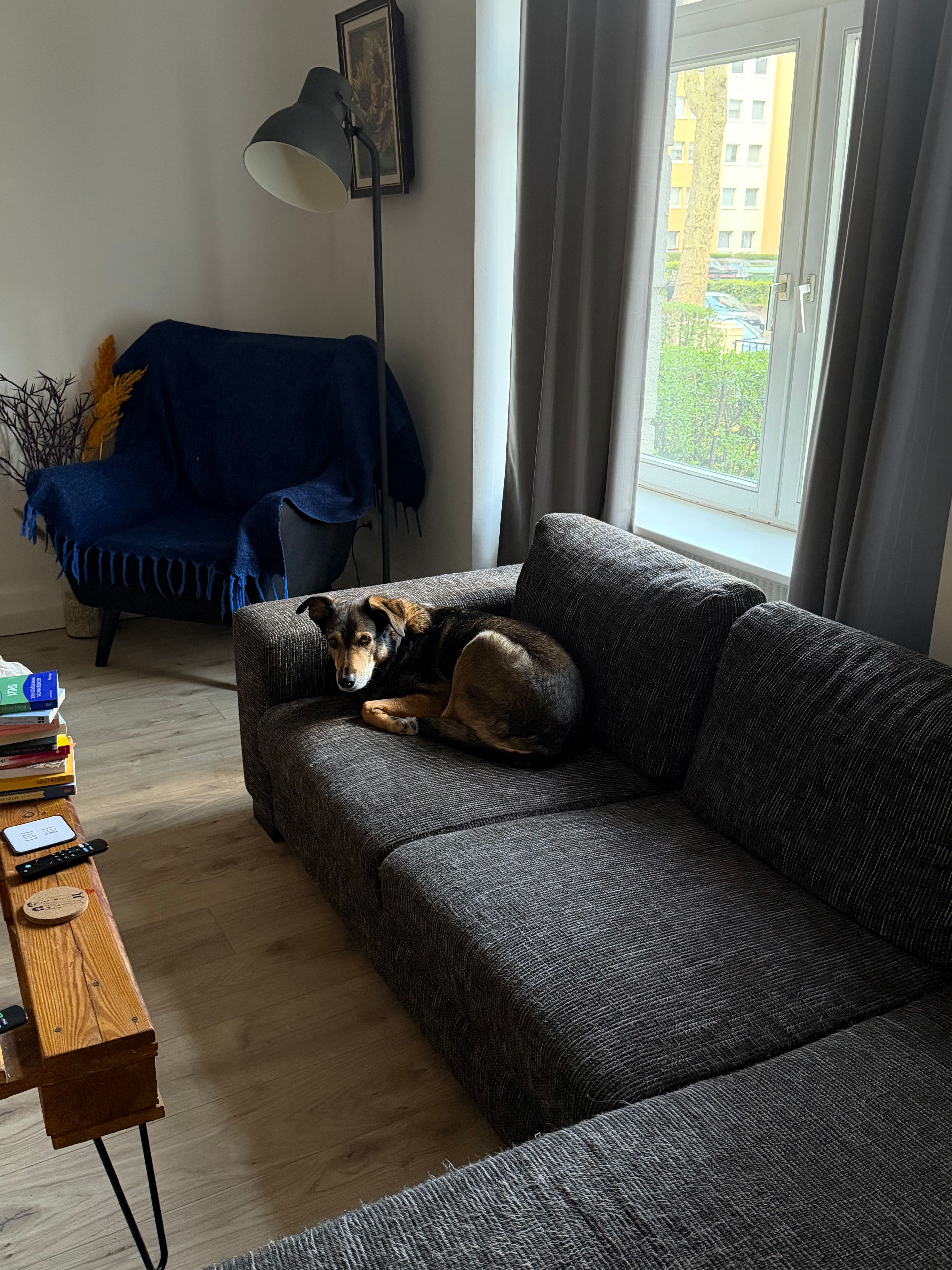 image-48