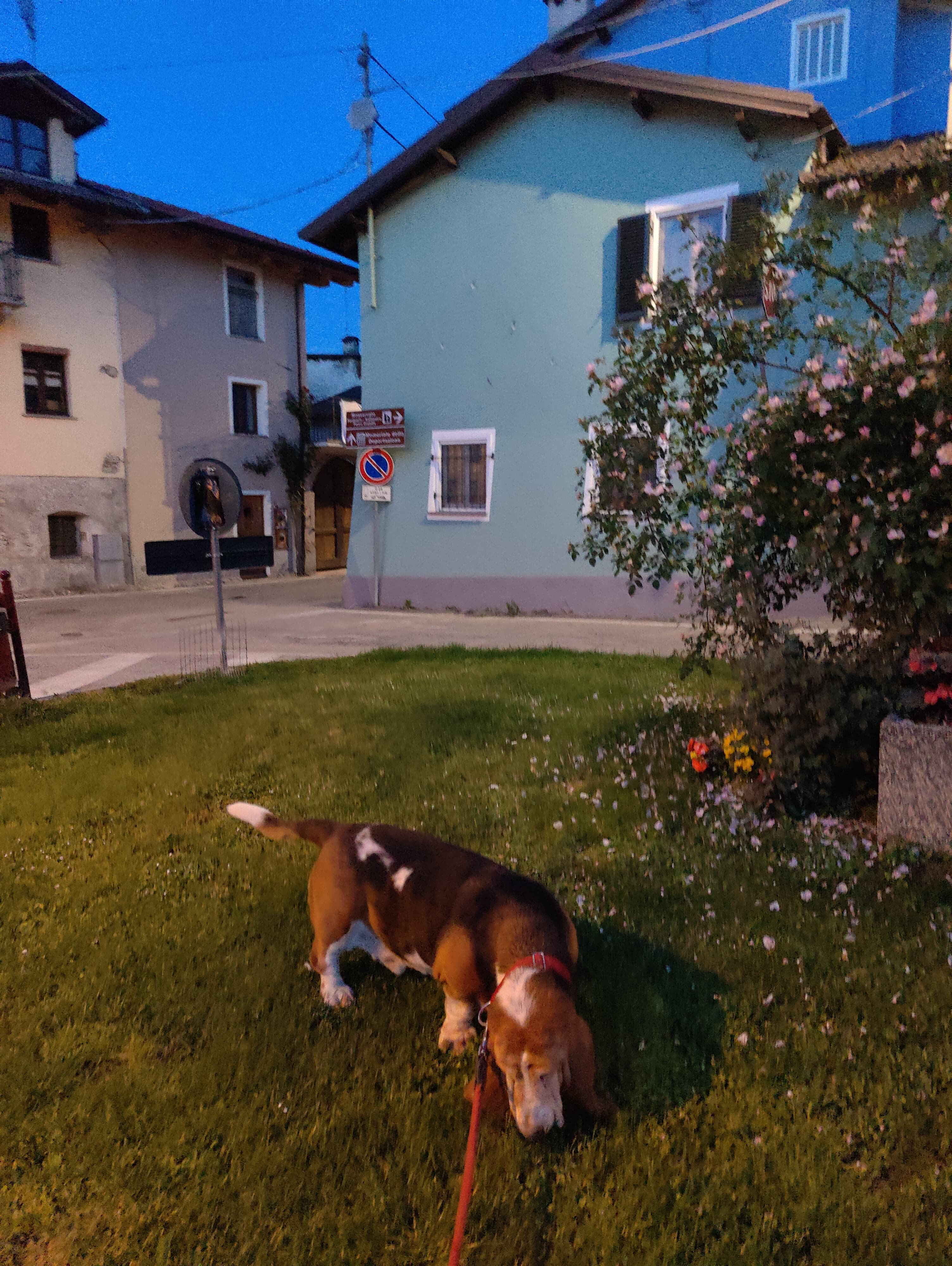 image-14
