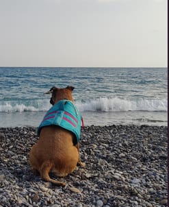 image-8
