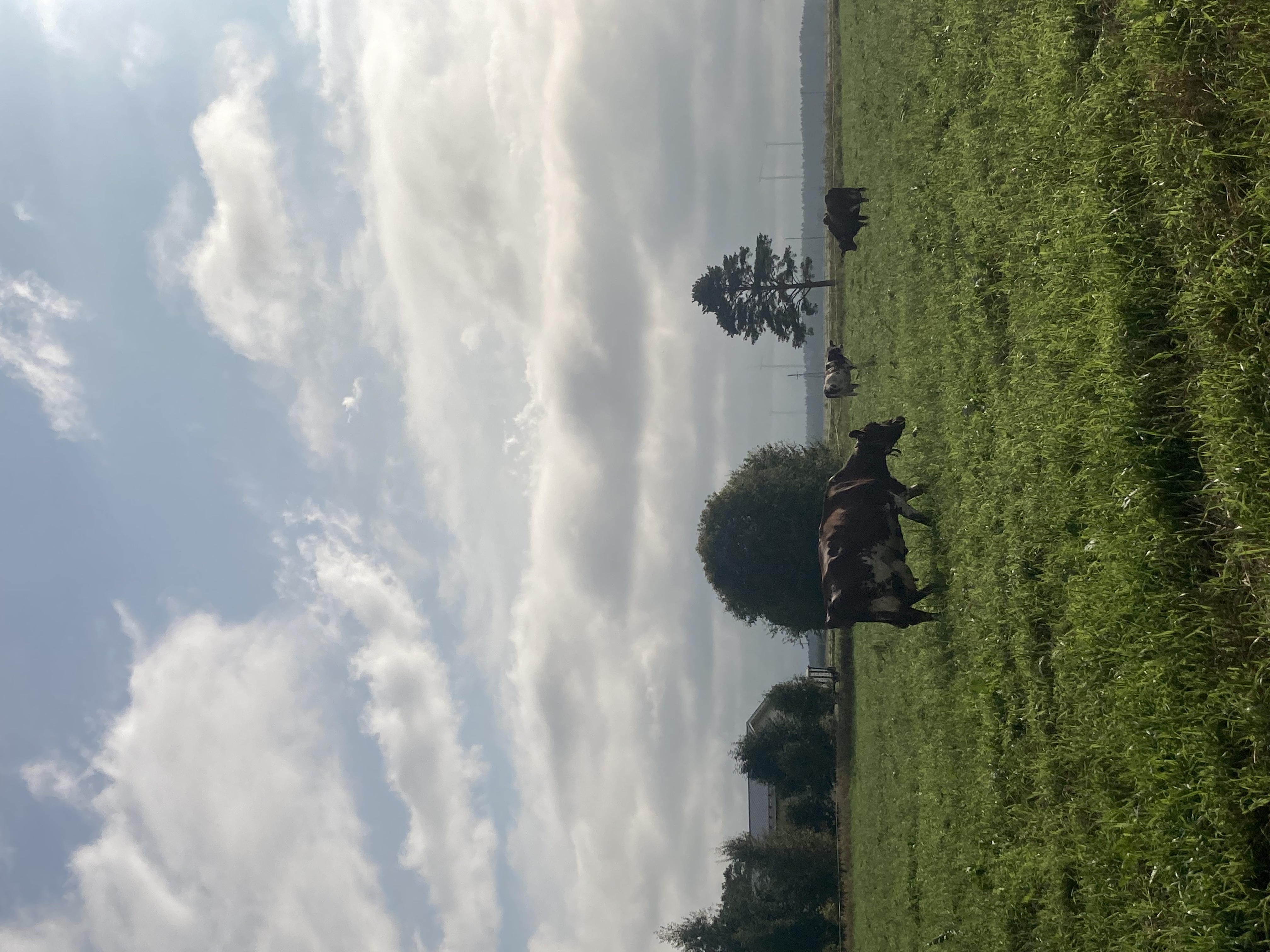 image-14