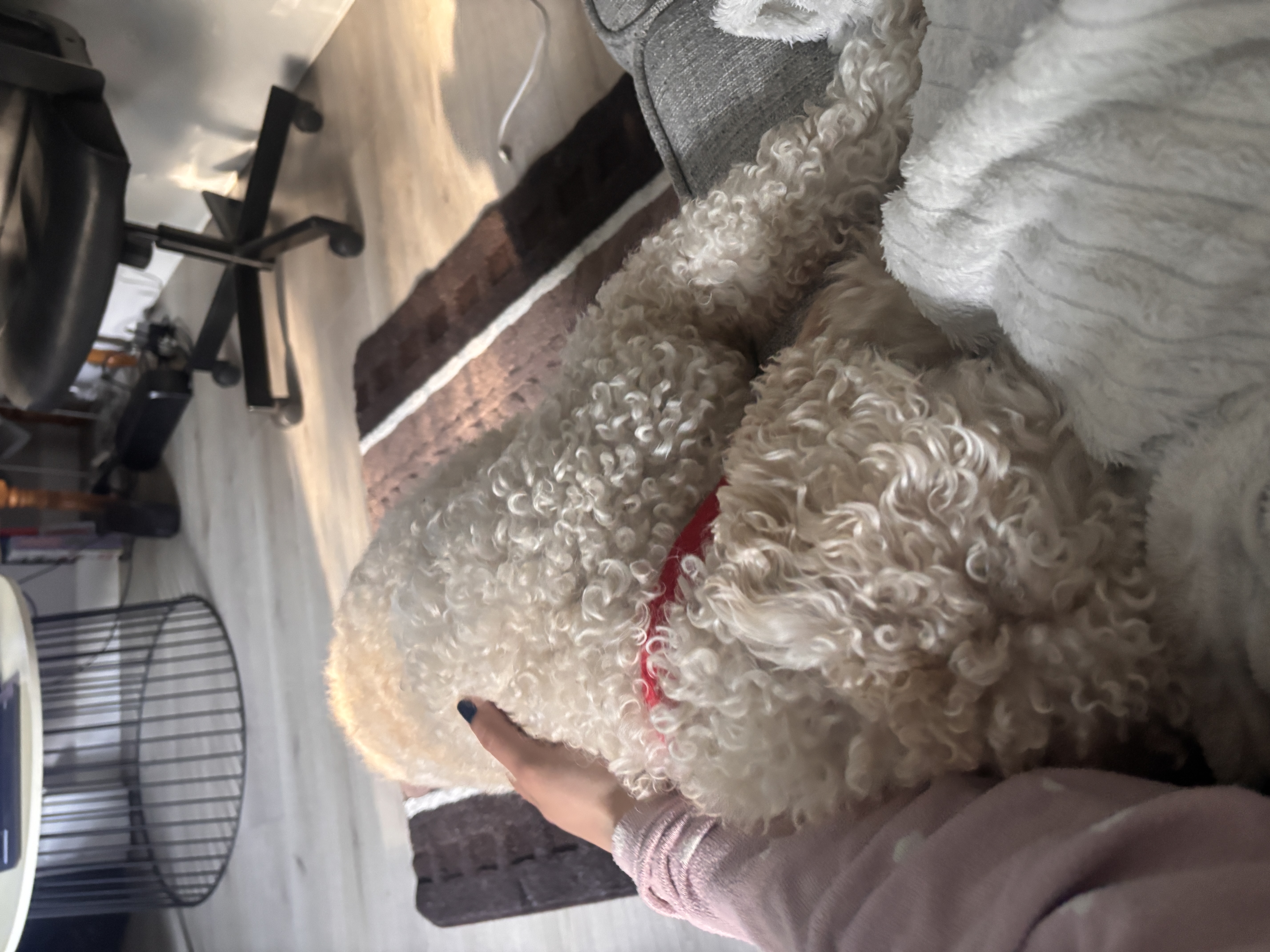 image-8