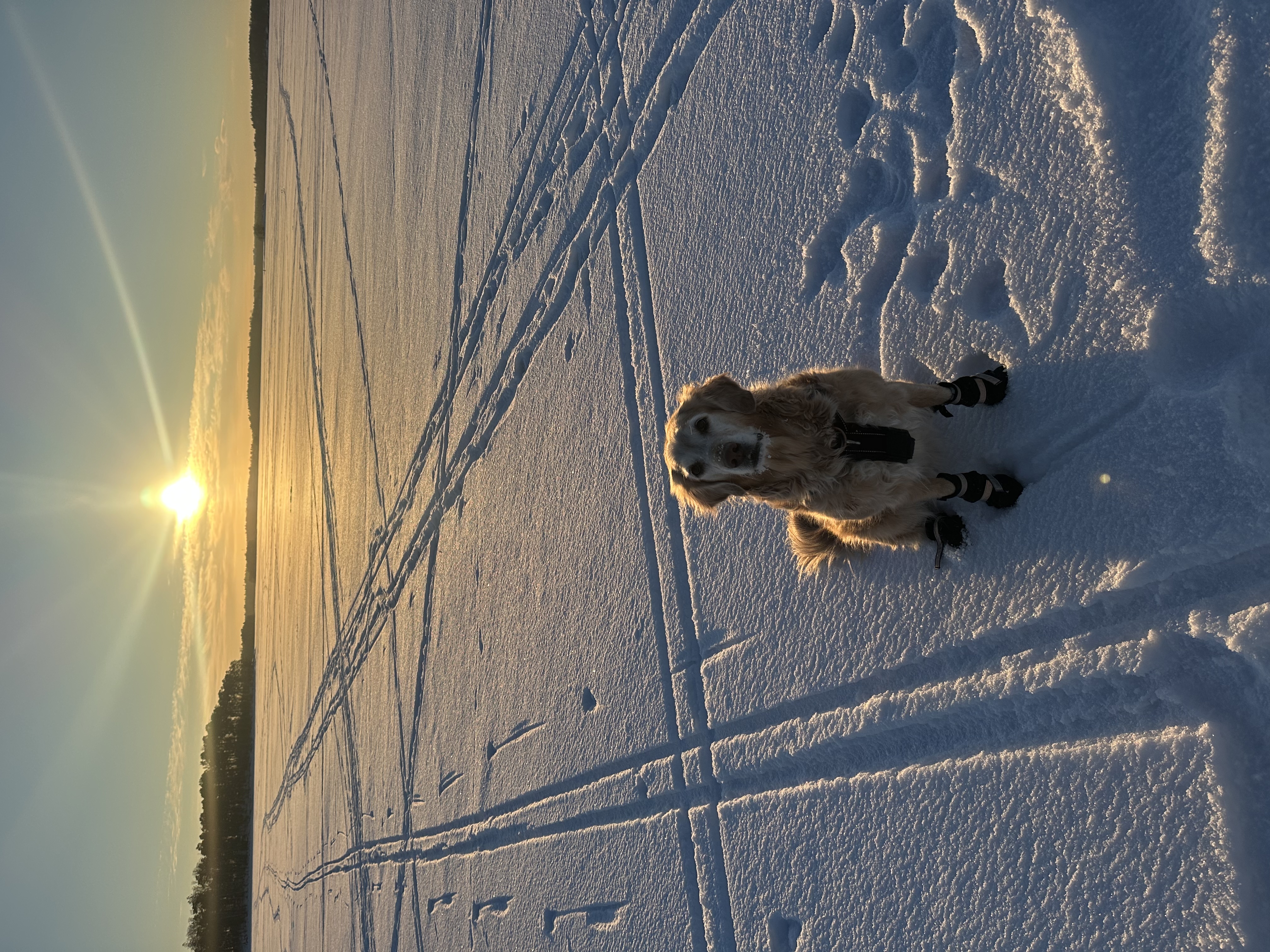 image-2