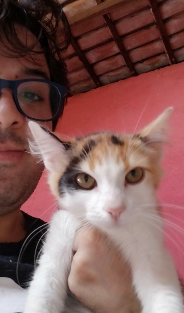 image-5